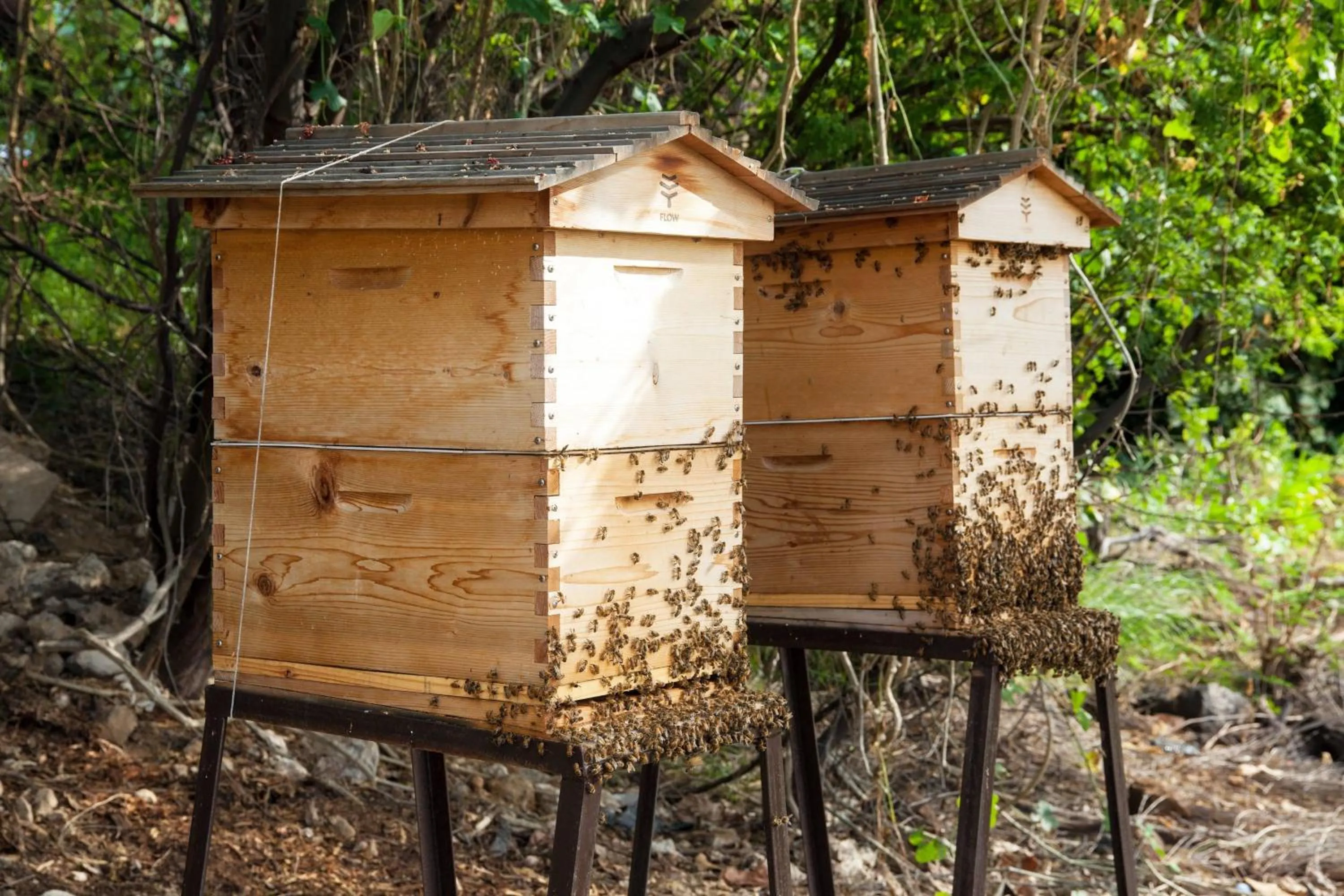 Other in Mauna Kea Beach Hotel, Autograph Collection
