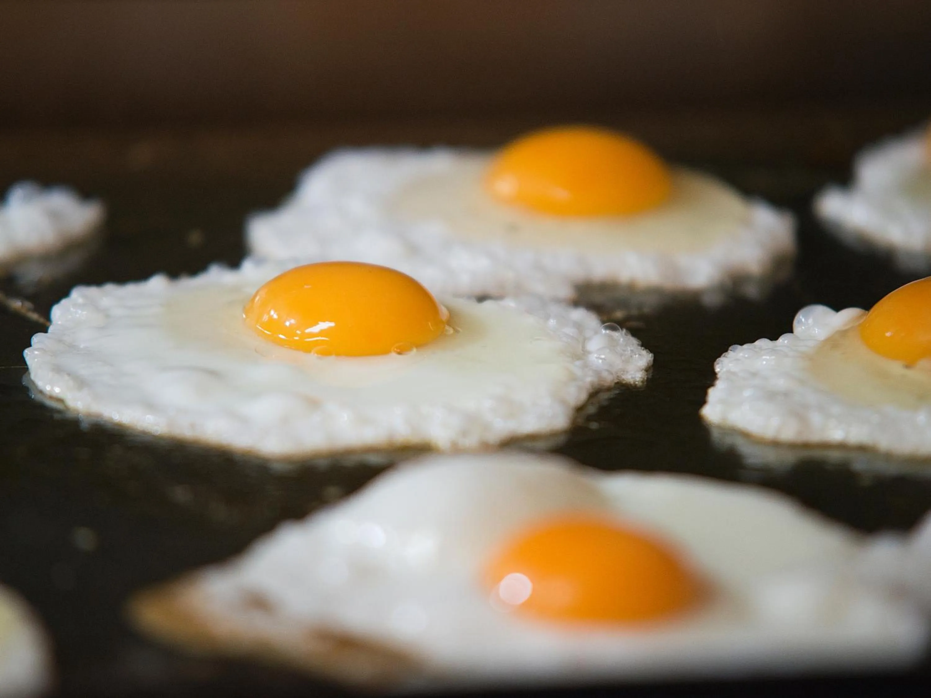 On site in Bungalows Vistaflor