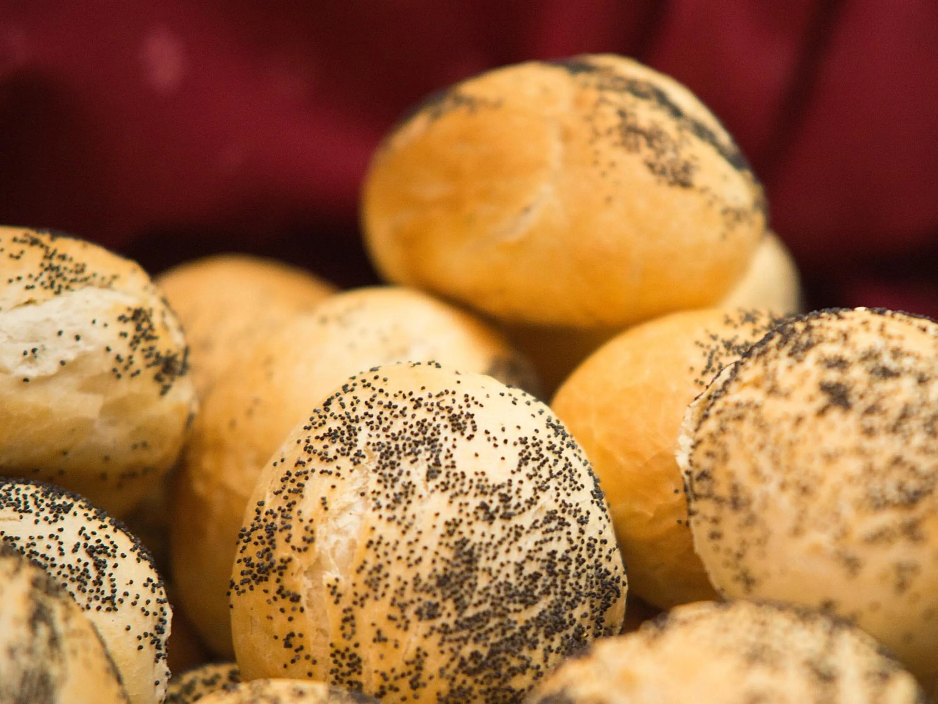 On site in Bungalows Vistaflor