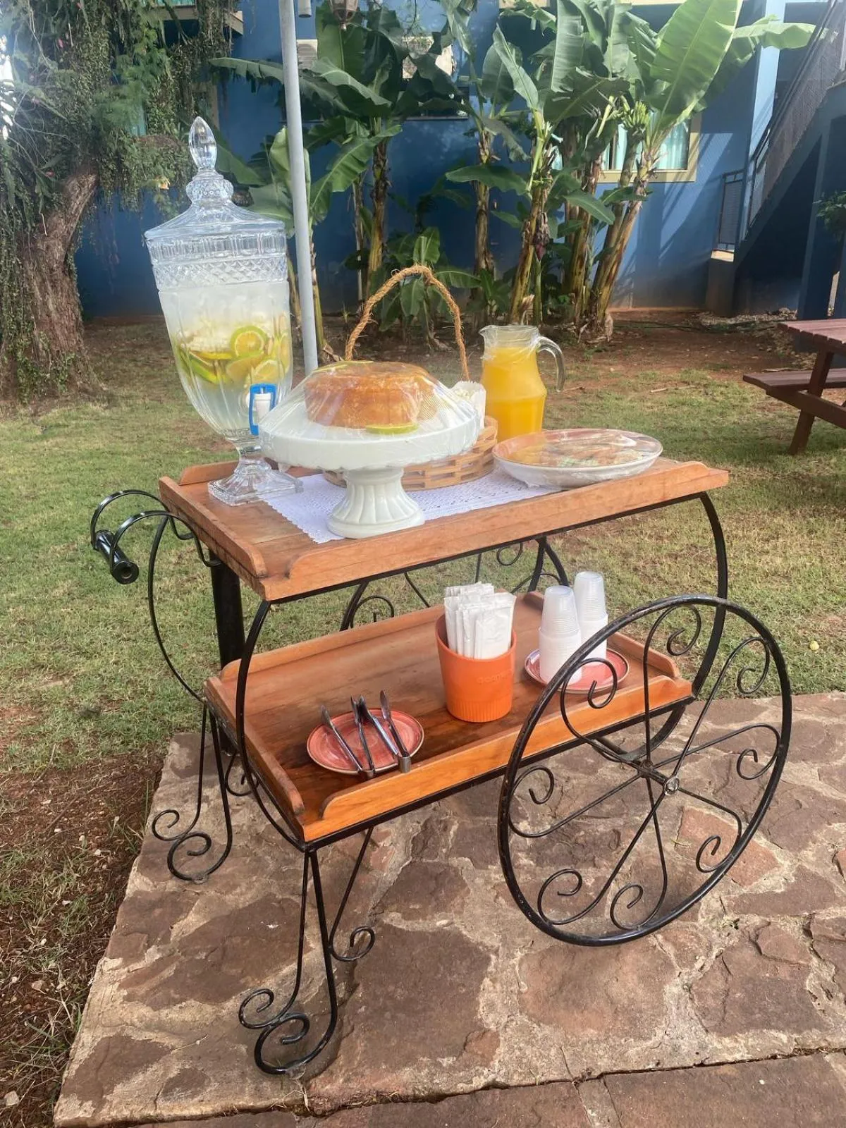 Garden view in The Garden