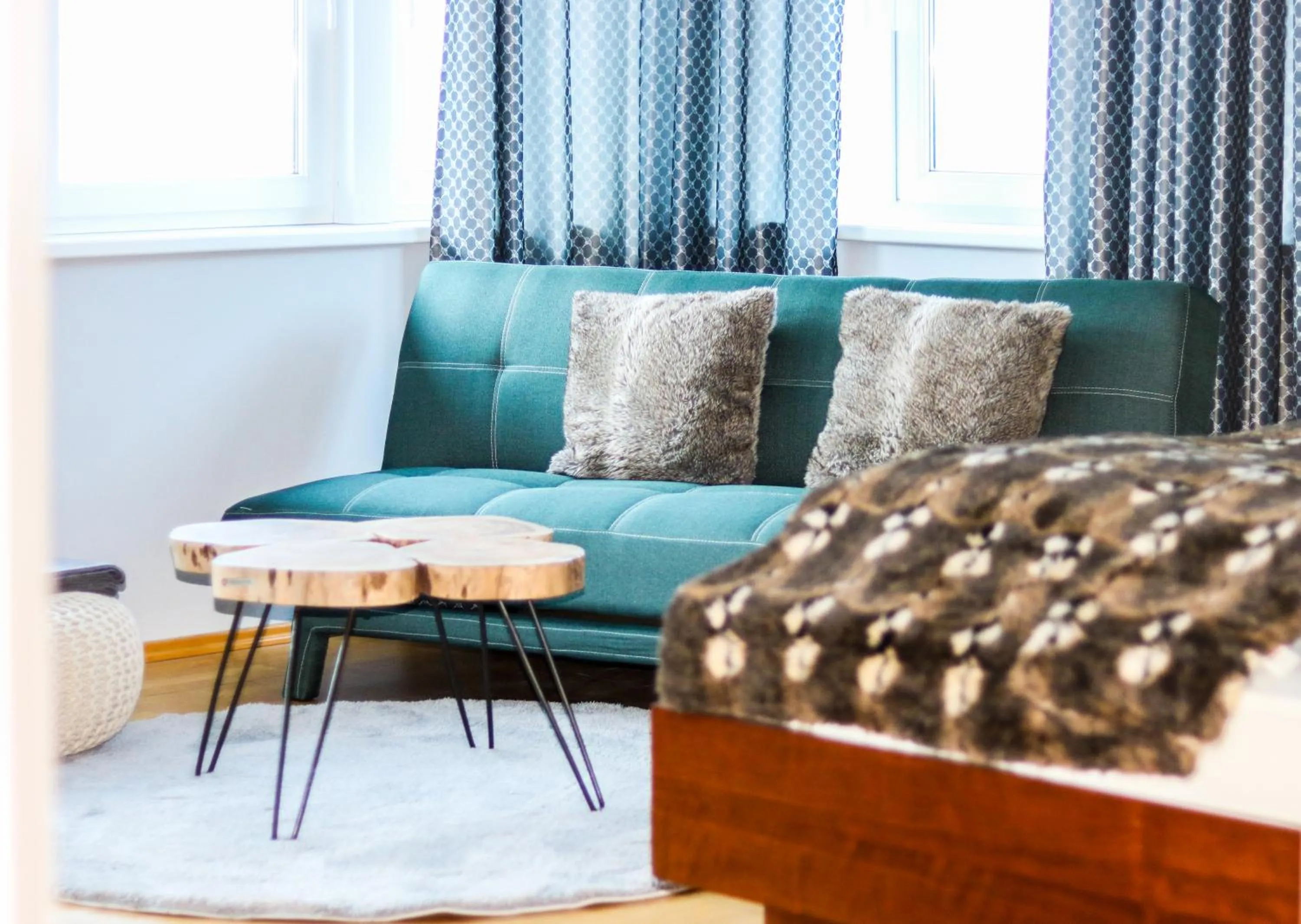 Seating area, Bed in Bosek`s