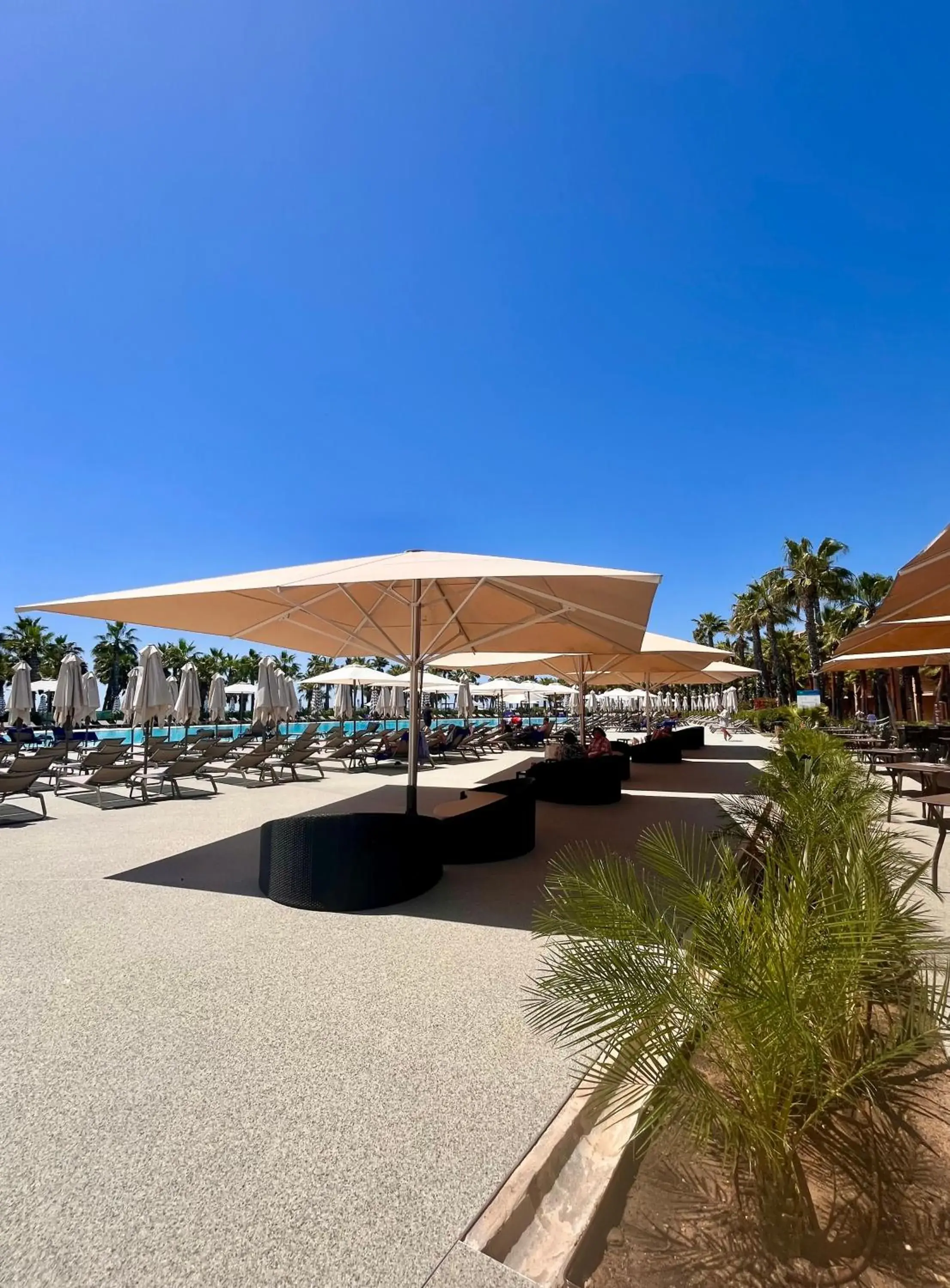 Restaurant/places to eat in VidaMar Resort Hotel Algarve Restaurant/places to eat in VidaMar Resort Hotel Algarve