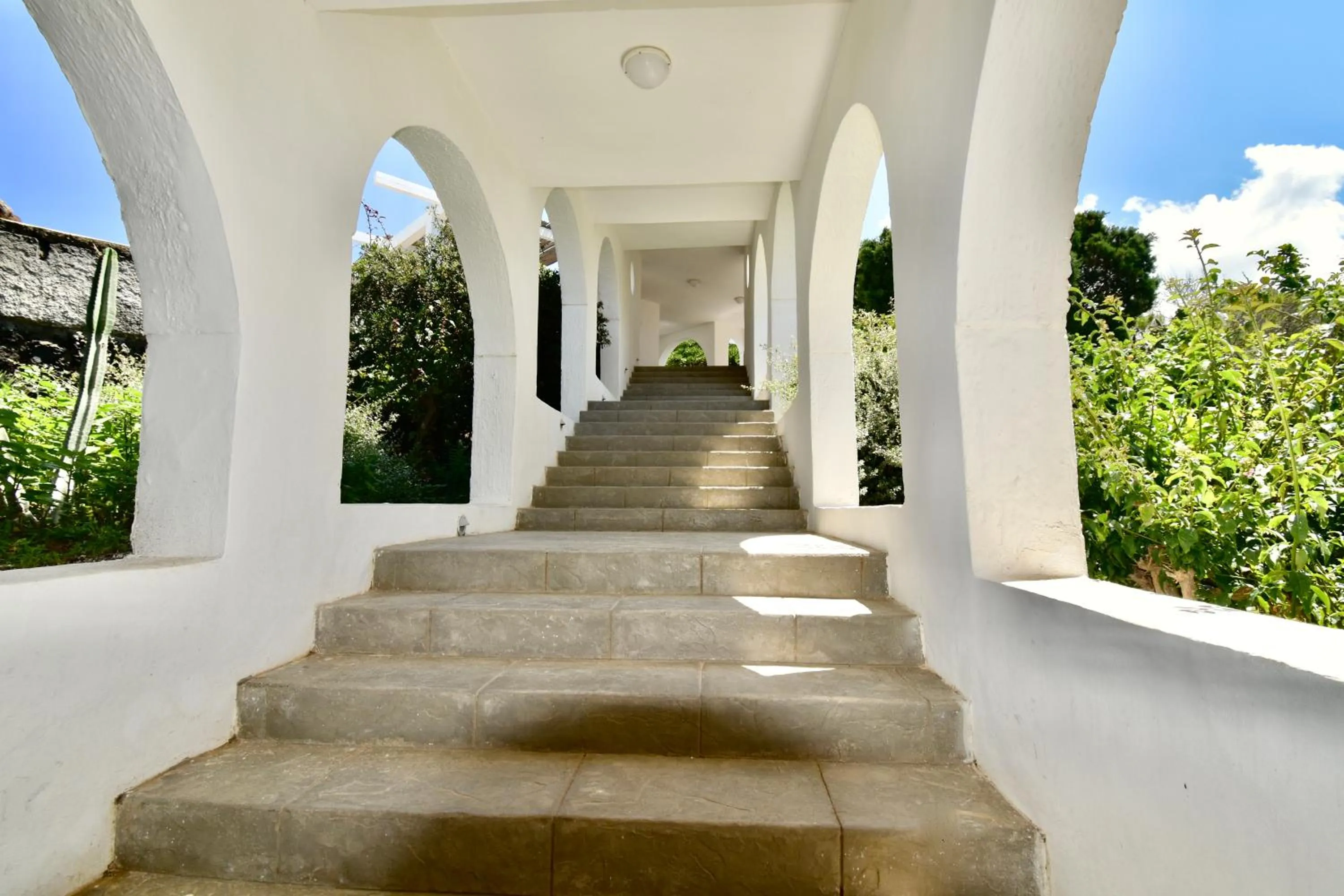 Garden view in Cossyra Hotel