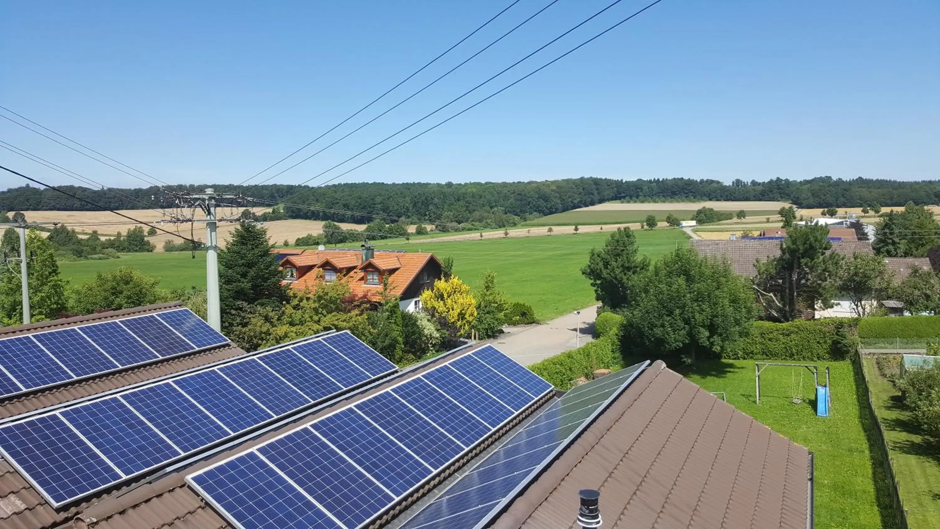 Landgasthof Traube Landgasthof Traube