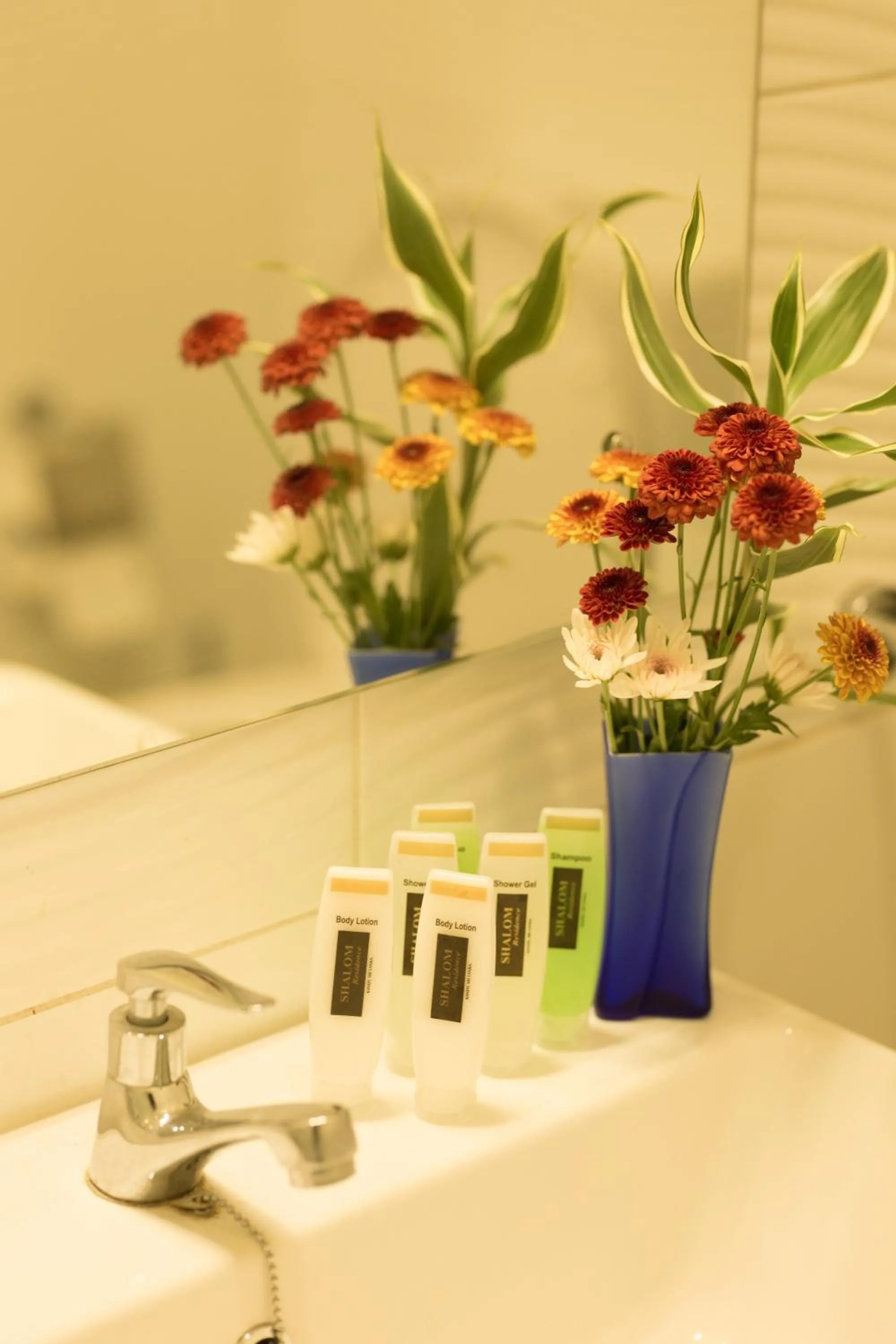 Bathroom in Shalom Residence Nawala