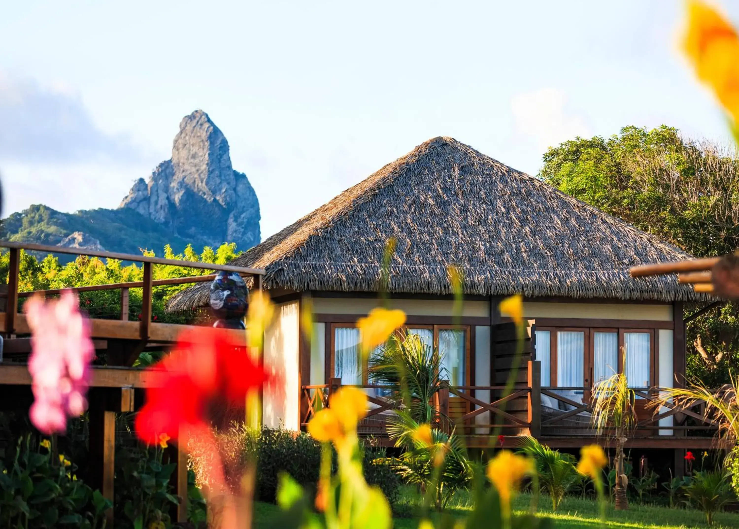 Property building in NANNAI Noronha Property building in NANNAI Noronha