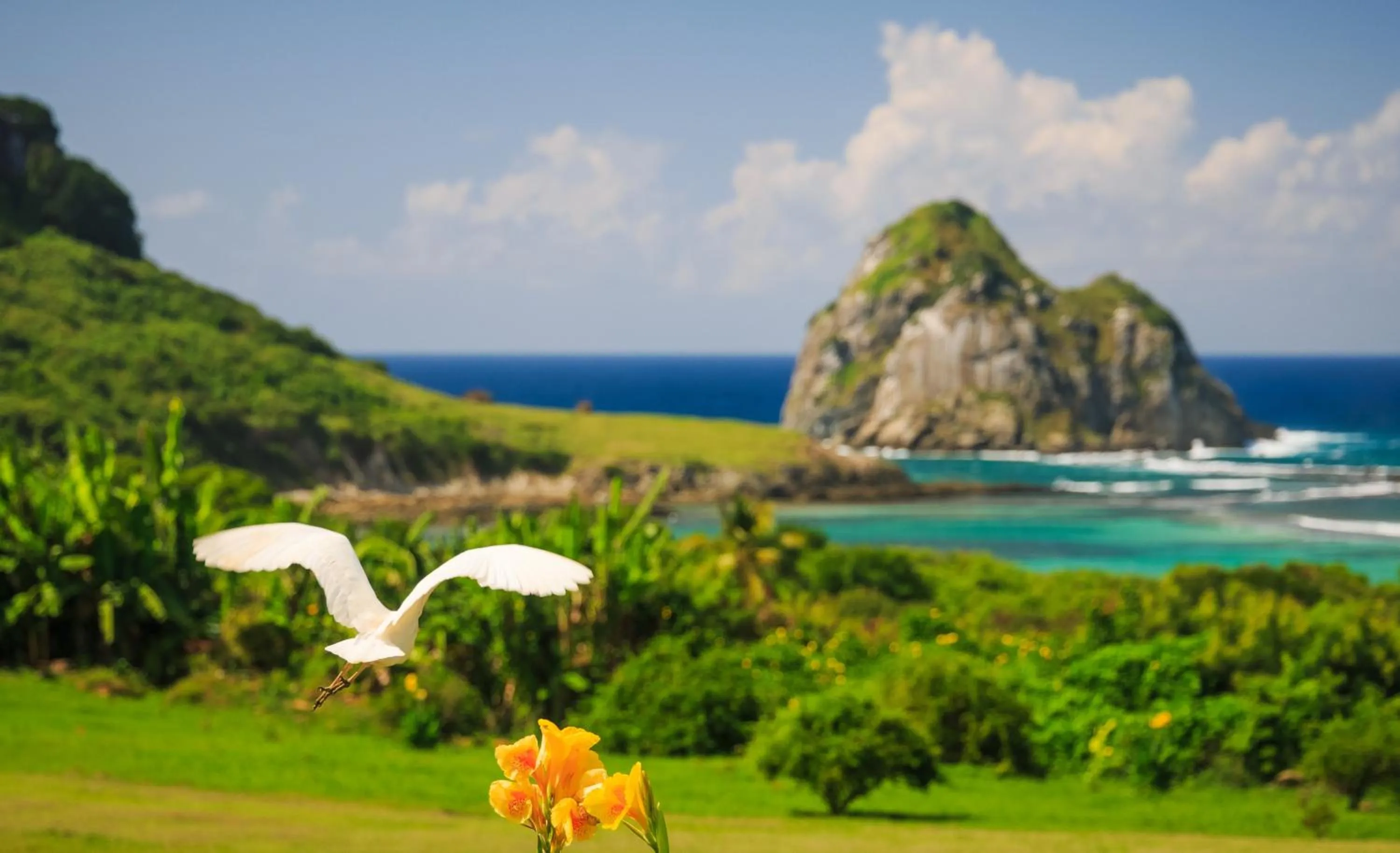 Natural landscape in NANNAI Noronha