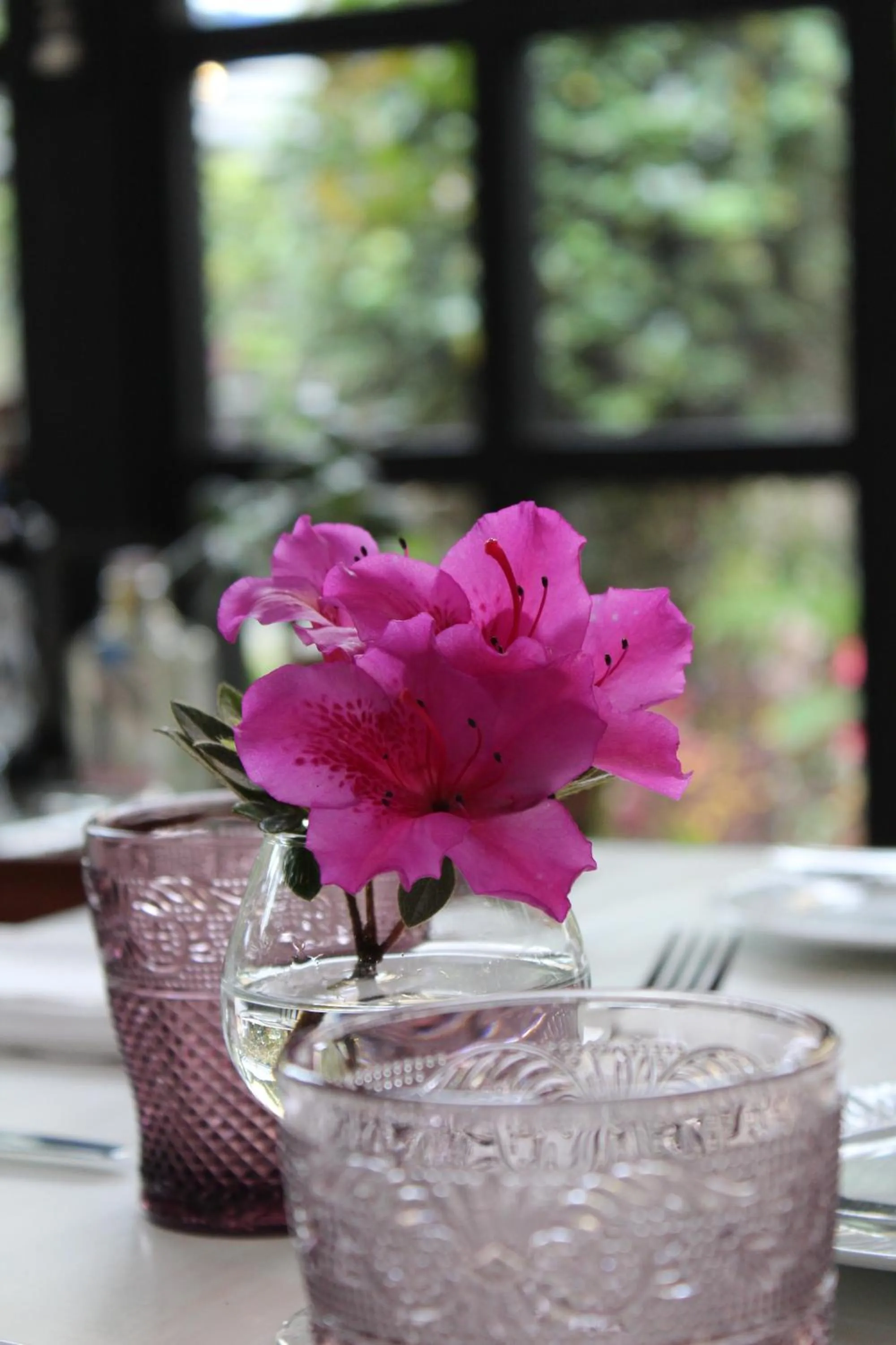 Restaurant/places to eat in Mansion Alcazar