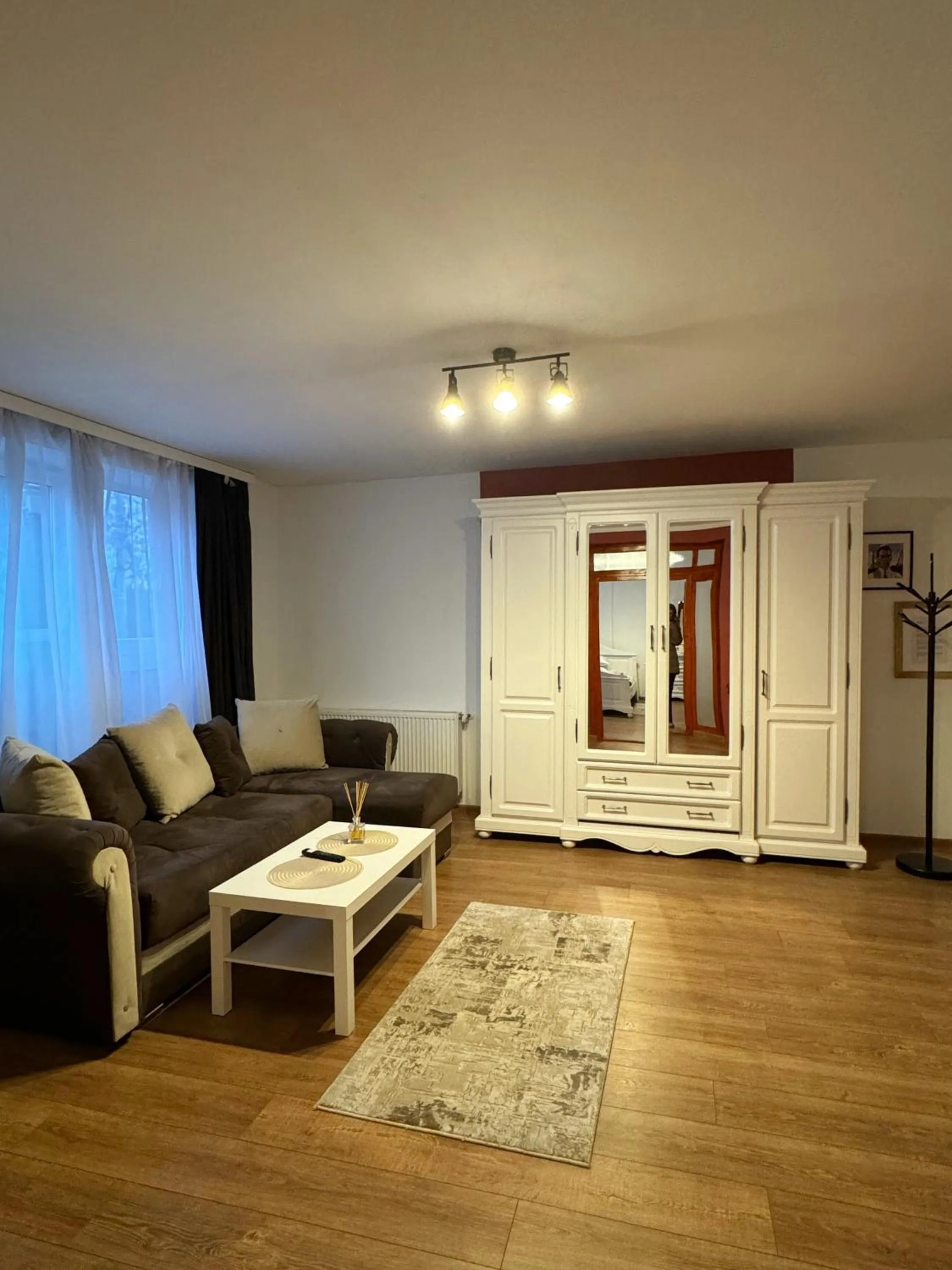 Living room in Pensiunea Pictorilor