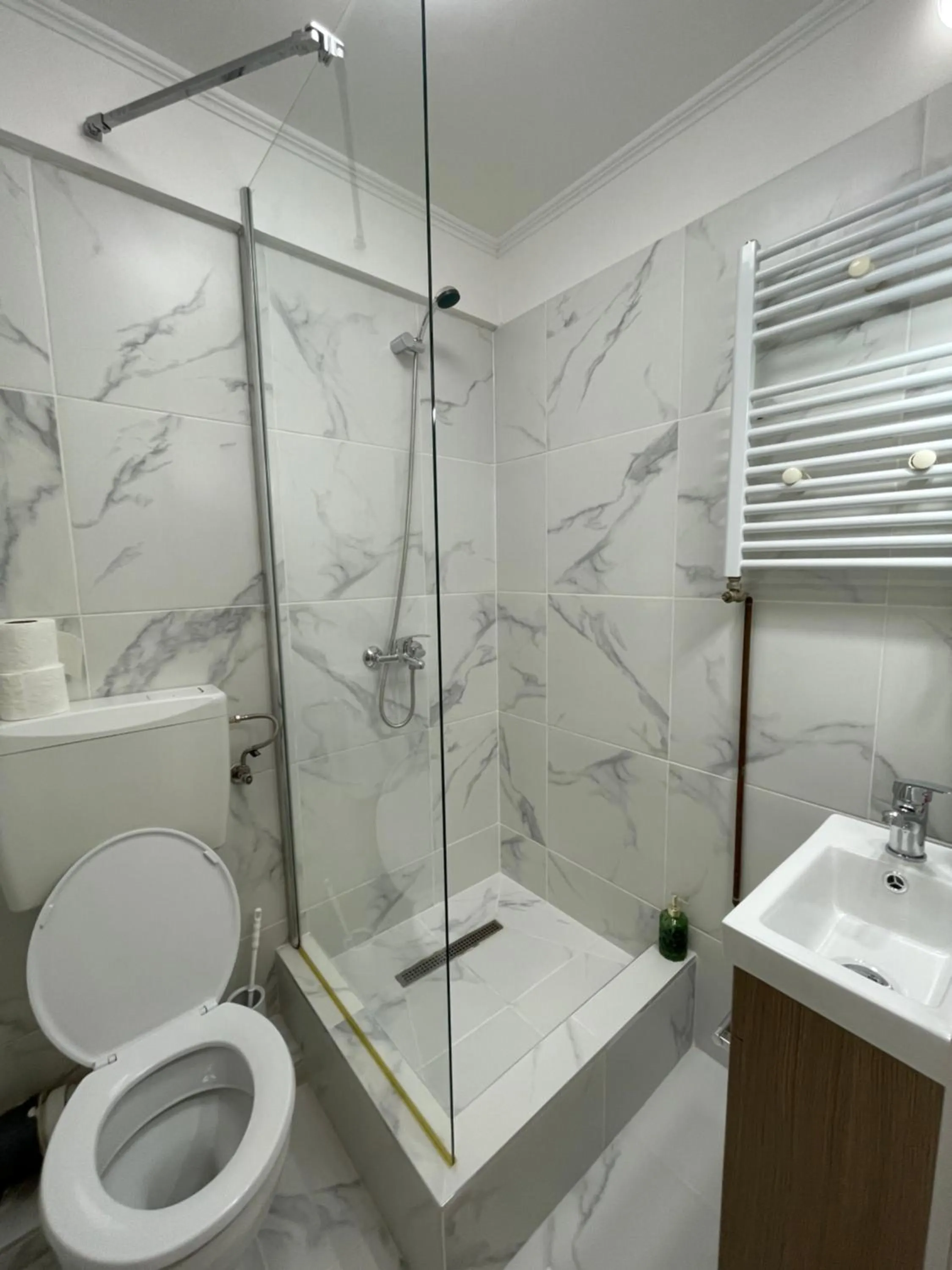 Shower in Pensiunea Pictorilor