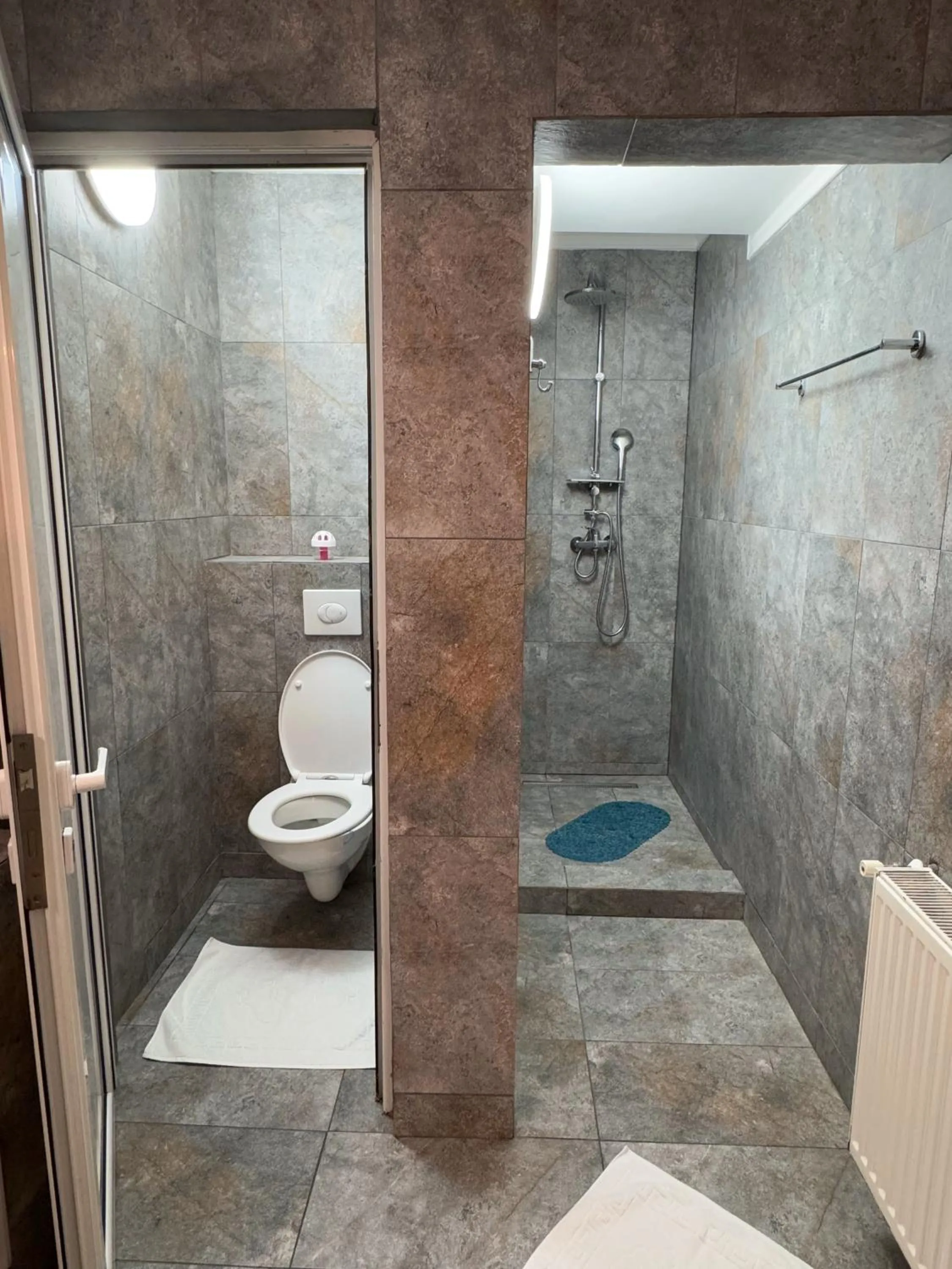 Toilet in Pensiunea Pictorilor