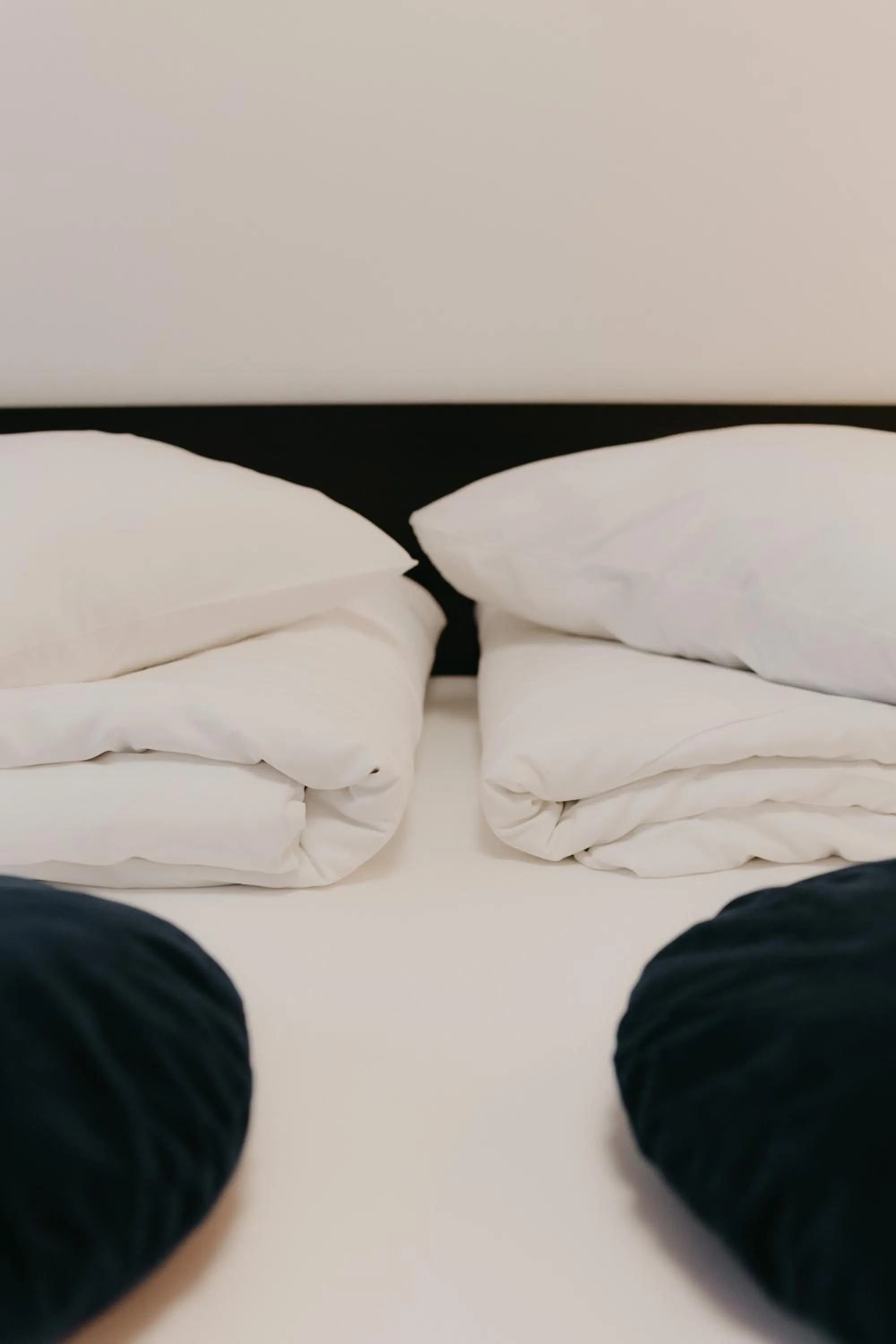 Bed in Pensiunea Pictorilor