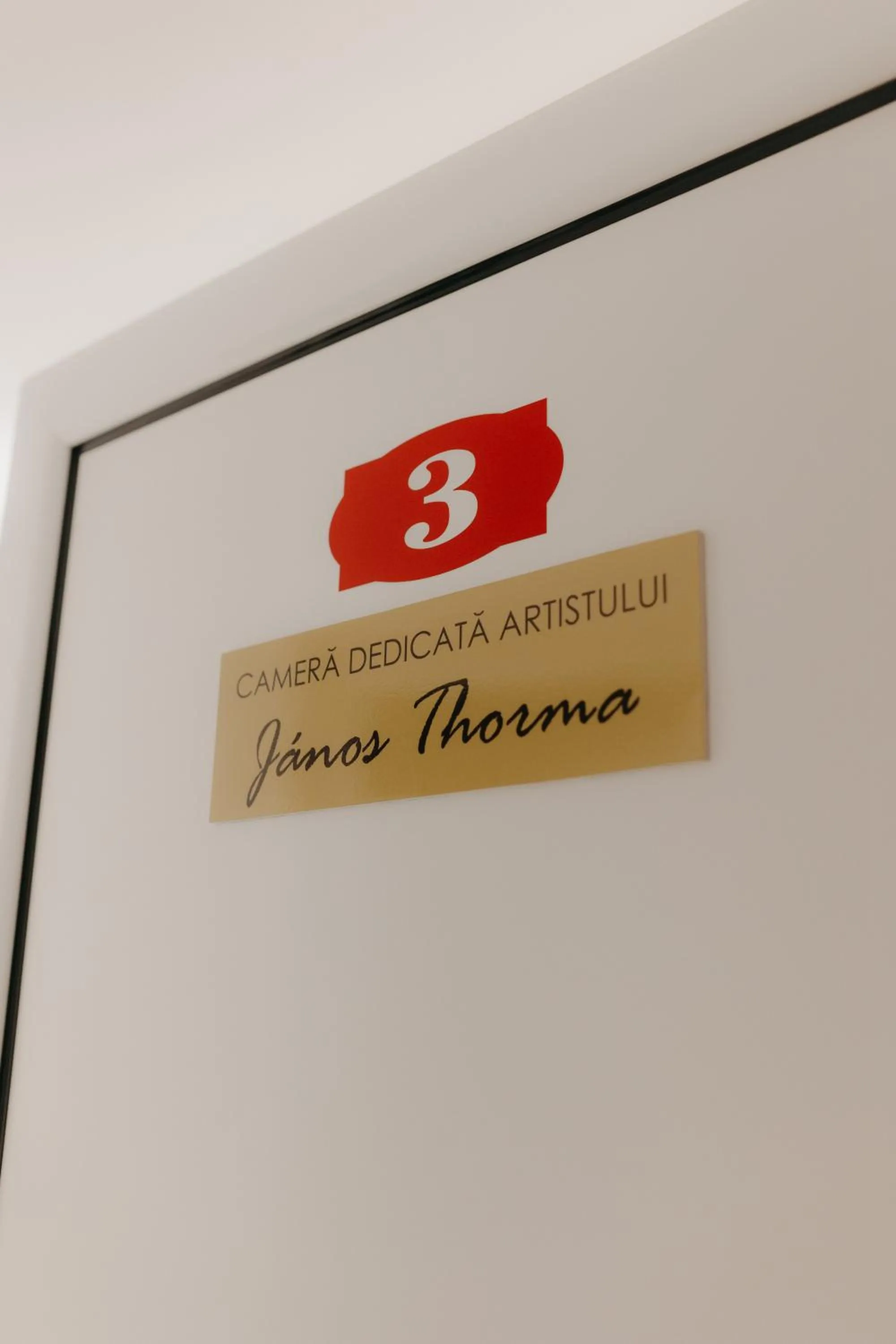 Property logo or sign in Pensiunea Pictorilor