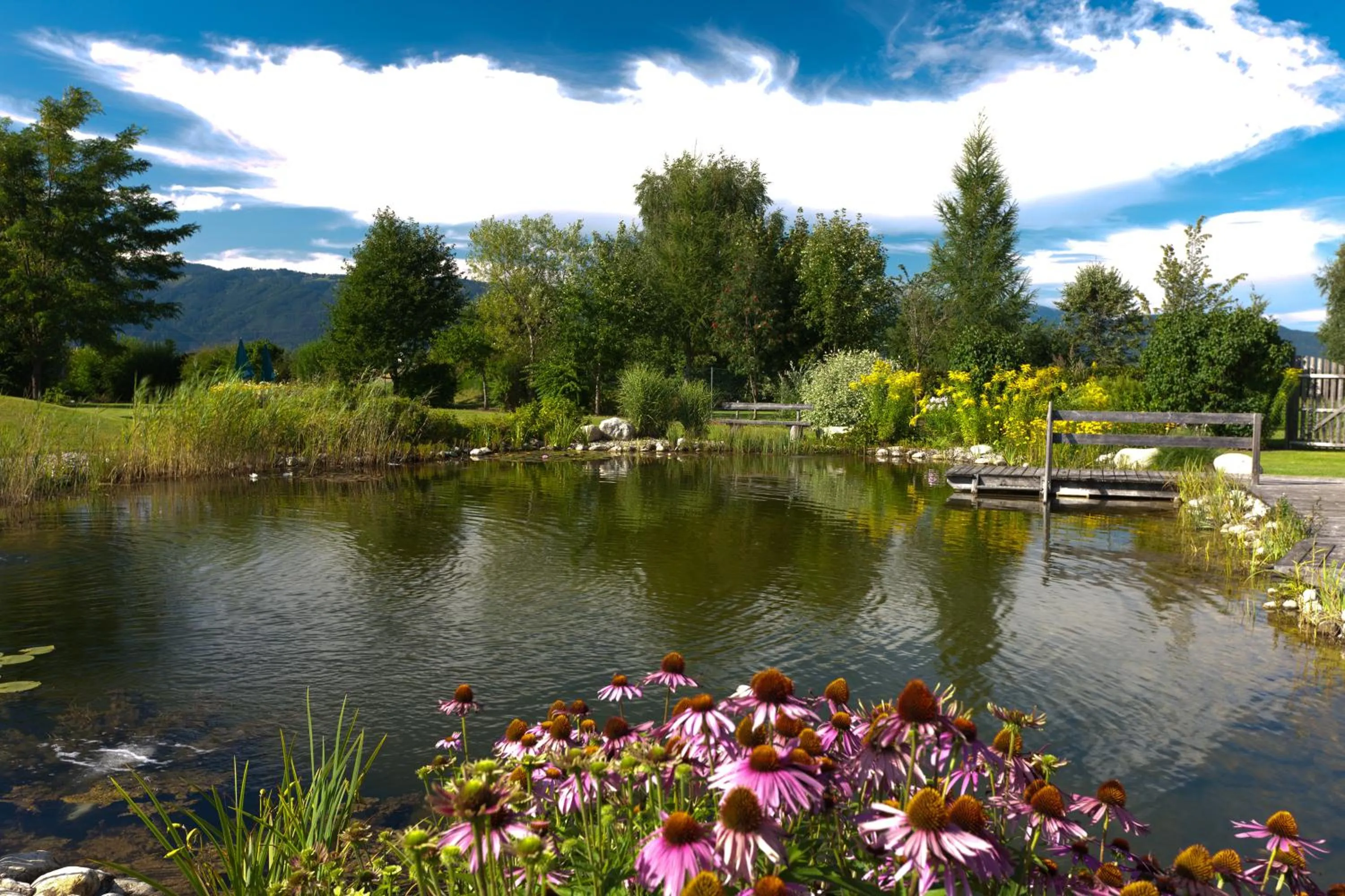 Swimming pool in Komfort Appartements Zirbenland - adults only - no dogs