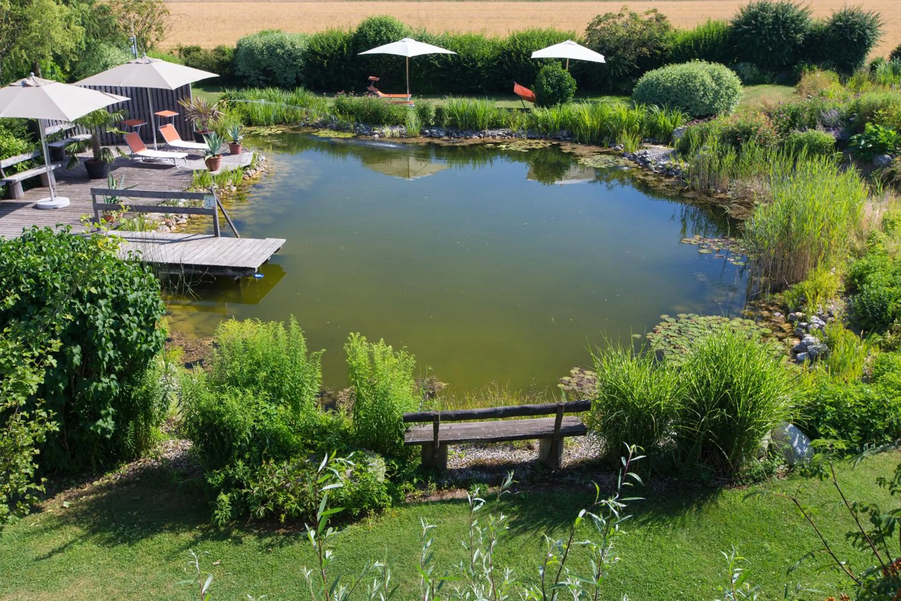 Swimming pool in Komfort Appartements Zirbenland - adults only - no dogs