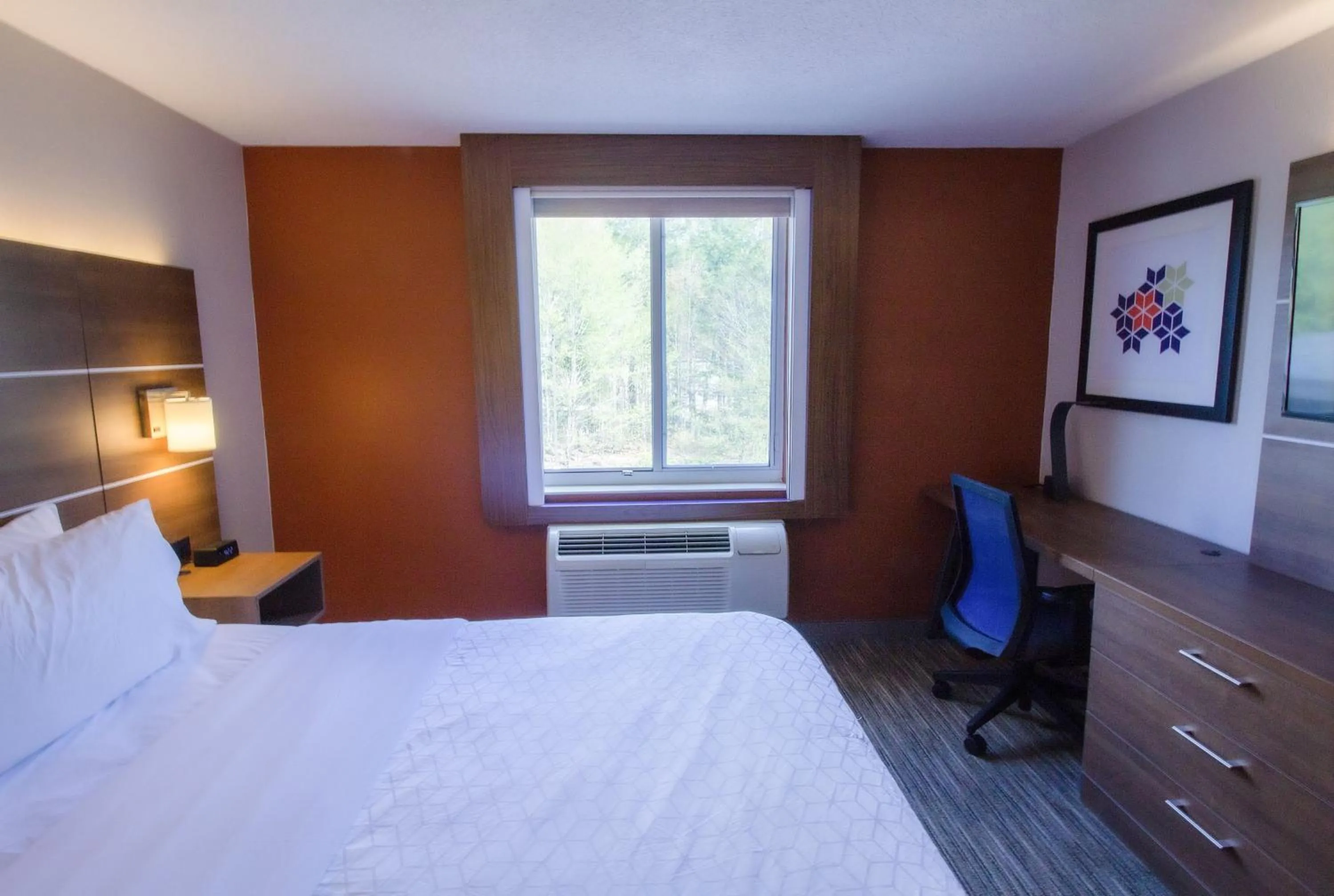 Photo of the whole room, Bed in Holiday Inn Express & Suites - Lincoln East - White Mountains by IHG