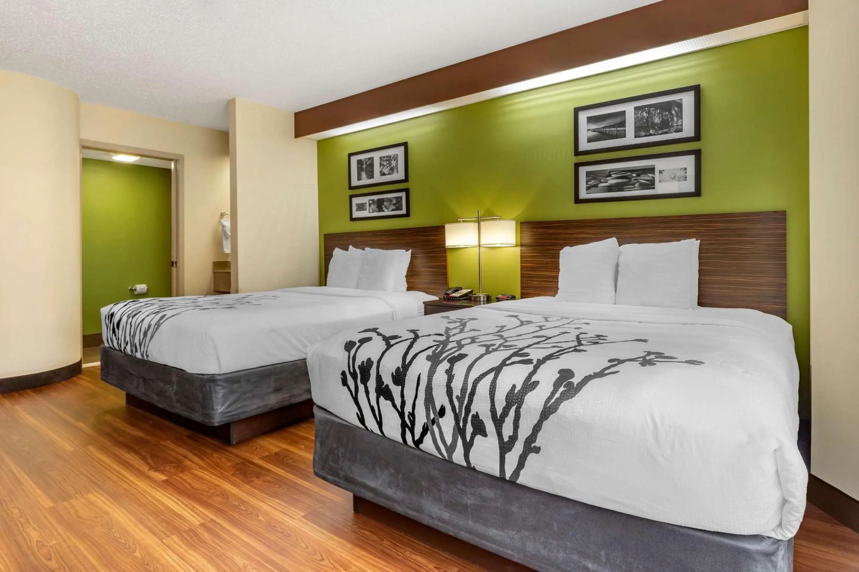 Bedroom, Bed in Sleep Inn Matthews-Charlotte