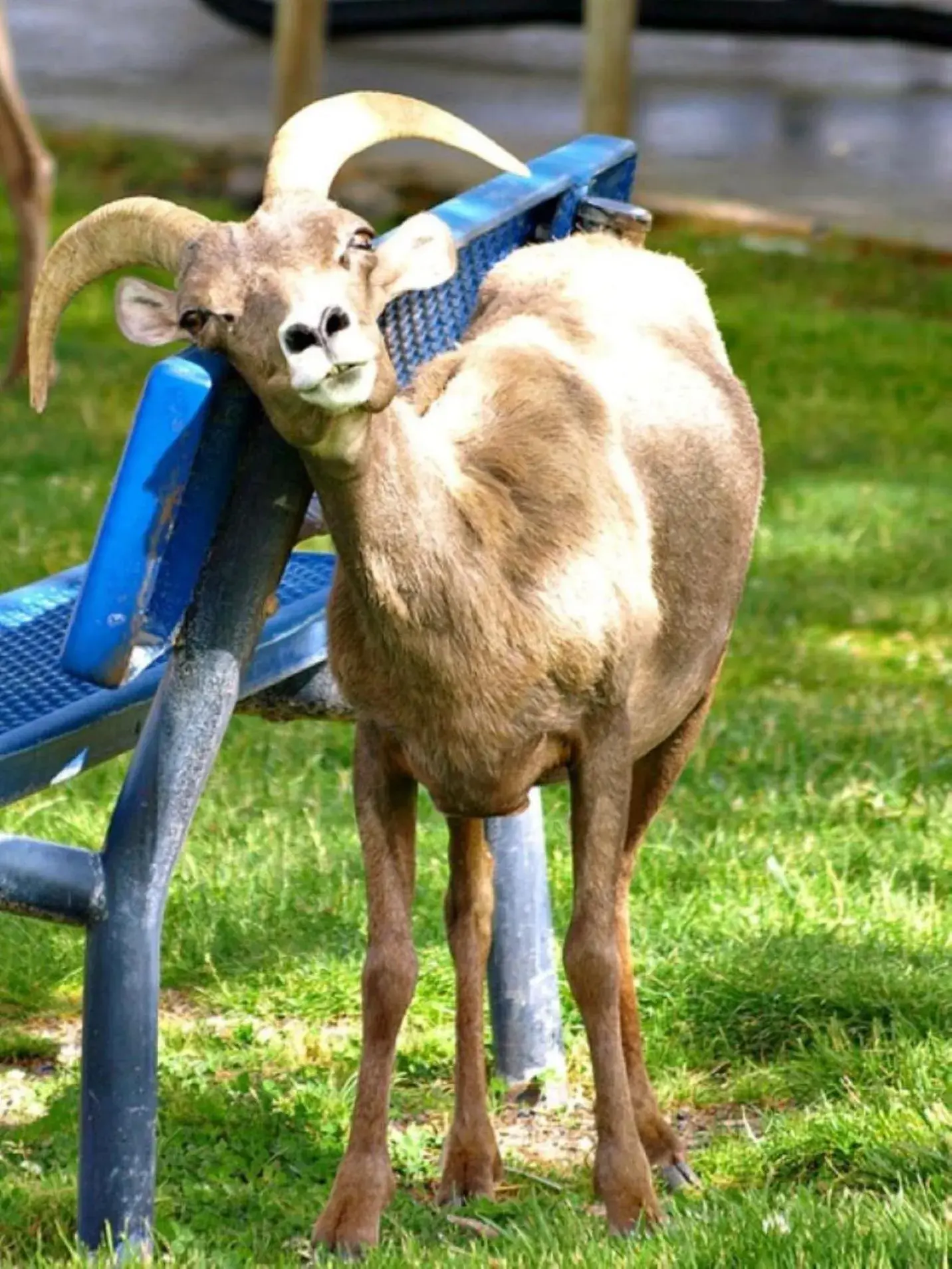 Day in Lake Mead Inn Day in Lake Mead Inn