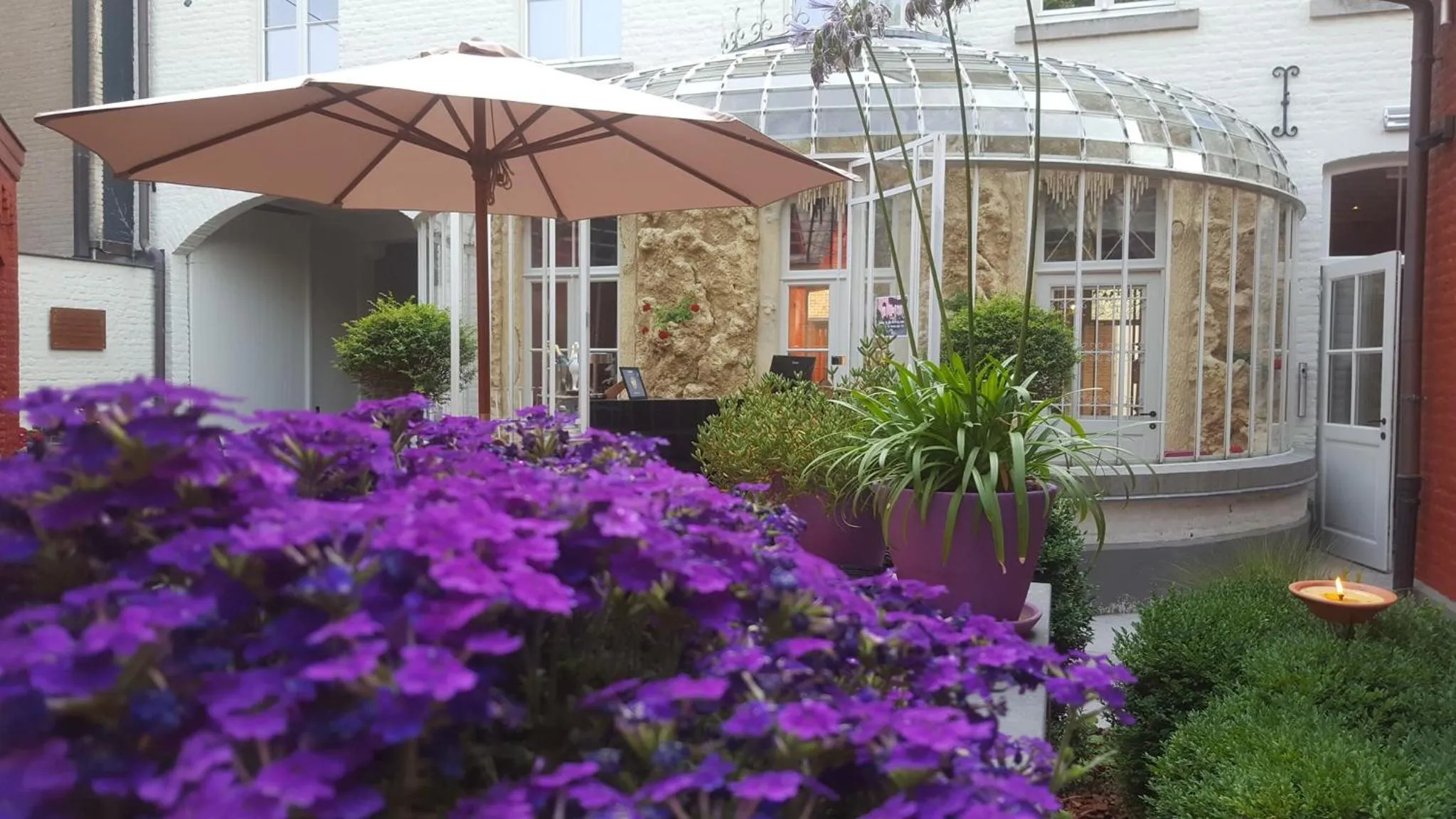 Garden in B&B Huize Briers