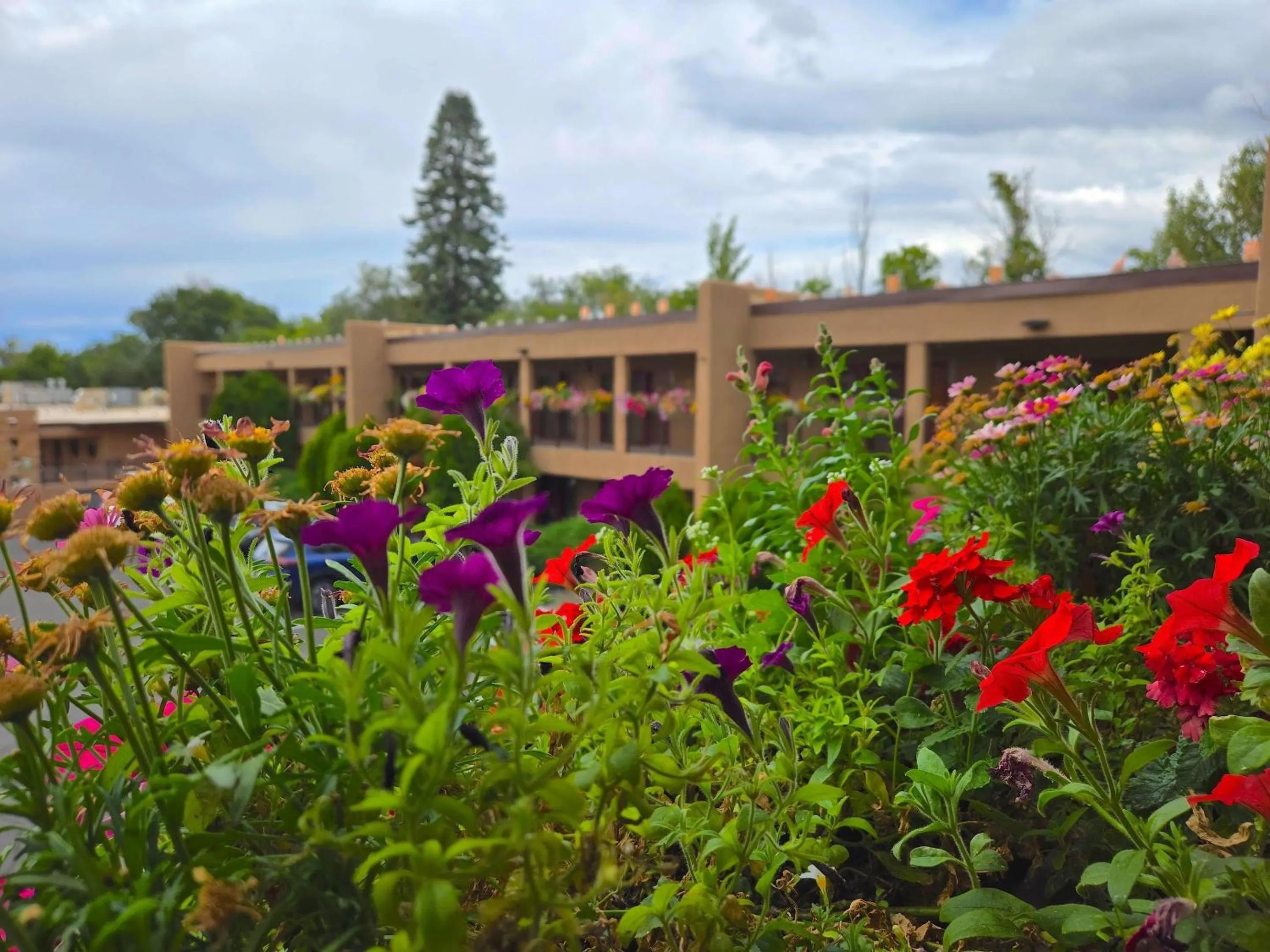Other in El Sendero Inn, an Ascend Collection Hotel