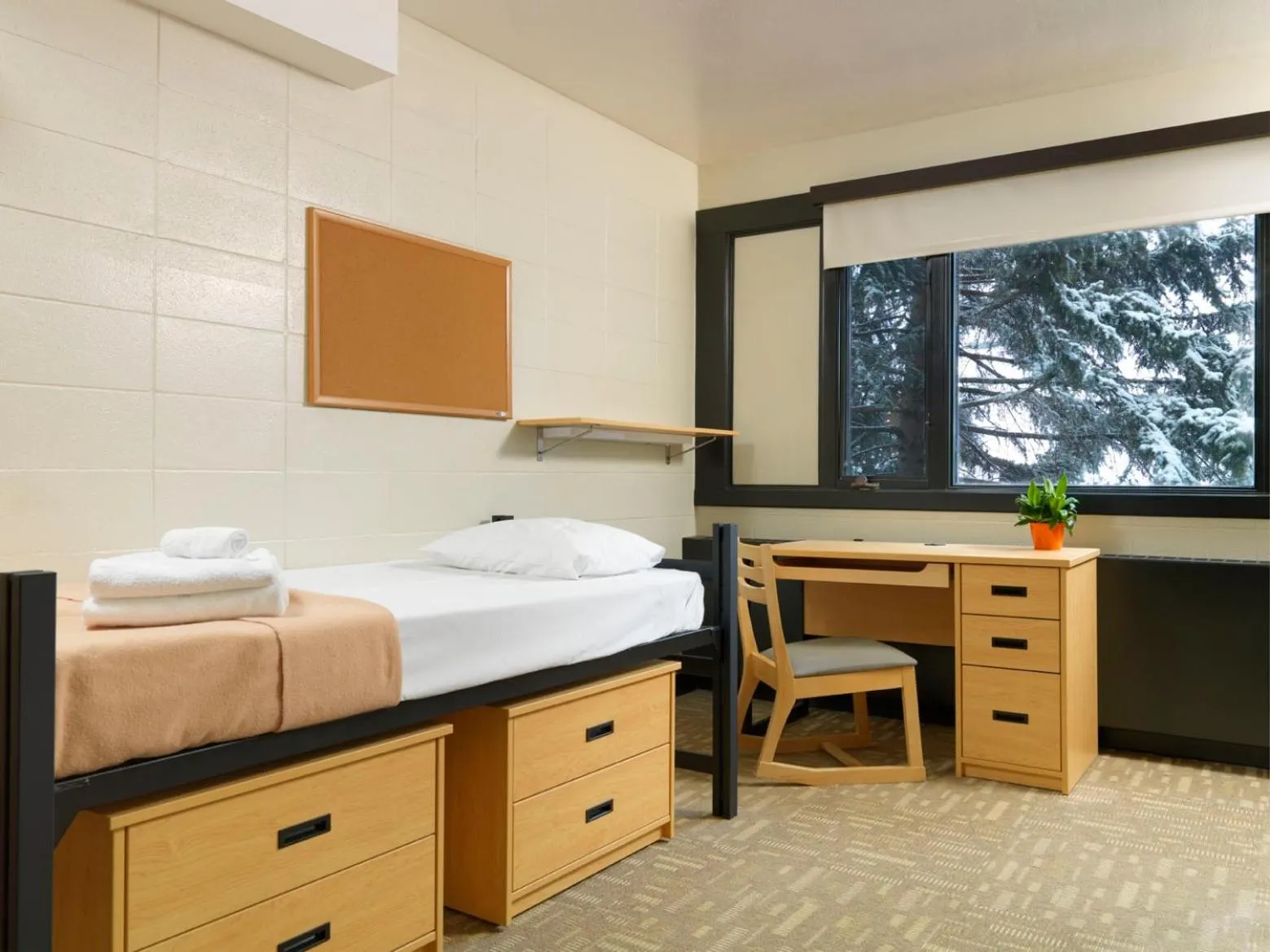 Bed in University of Calgary Accommodations and Events