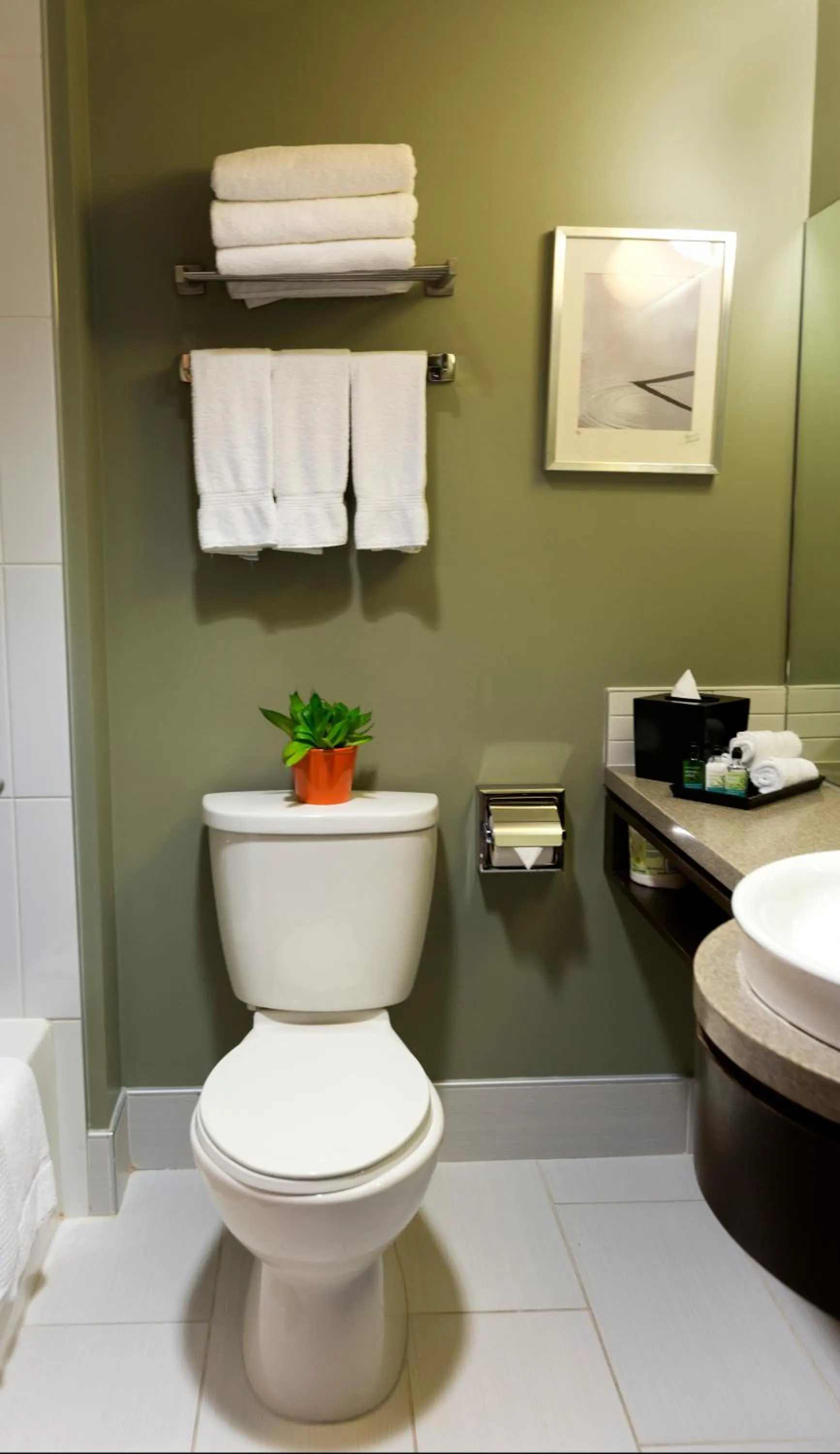 University of Calgary Accommodations and Events
