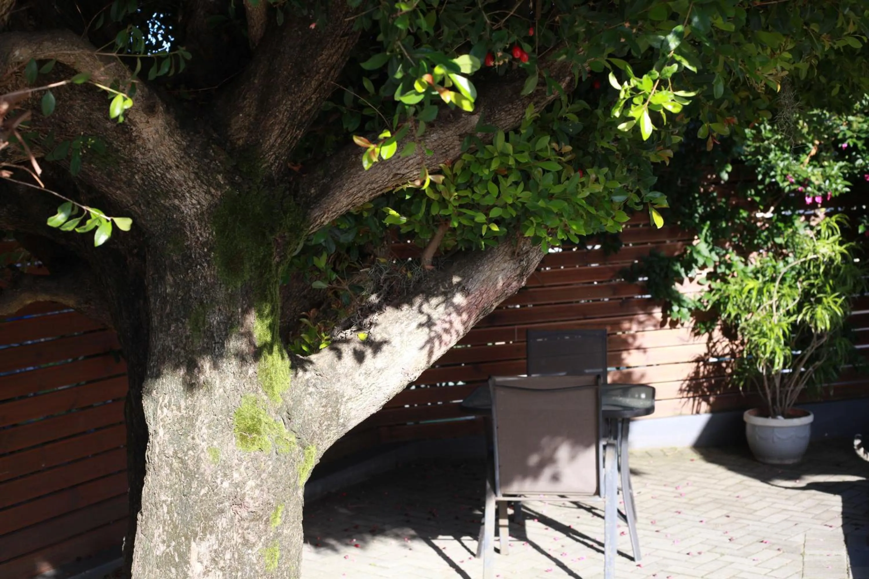 Property building in Reef View BnB