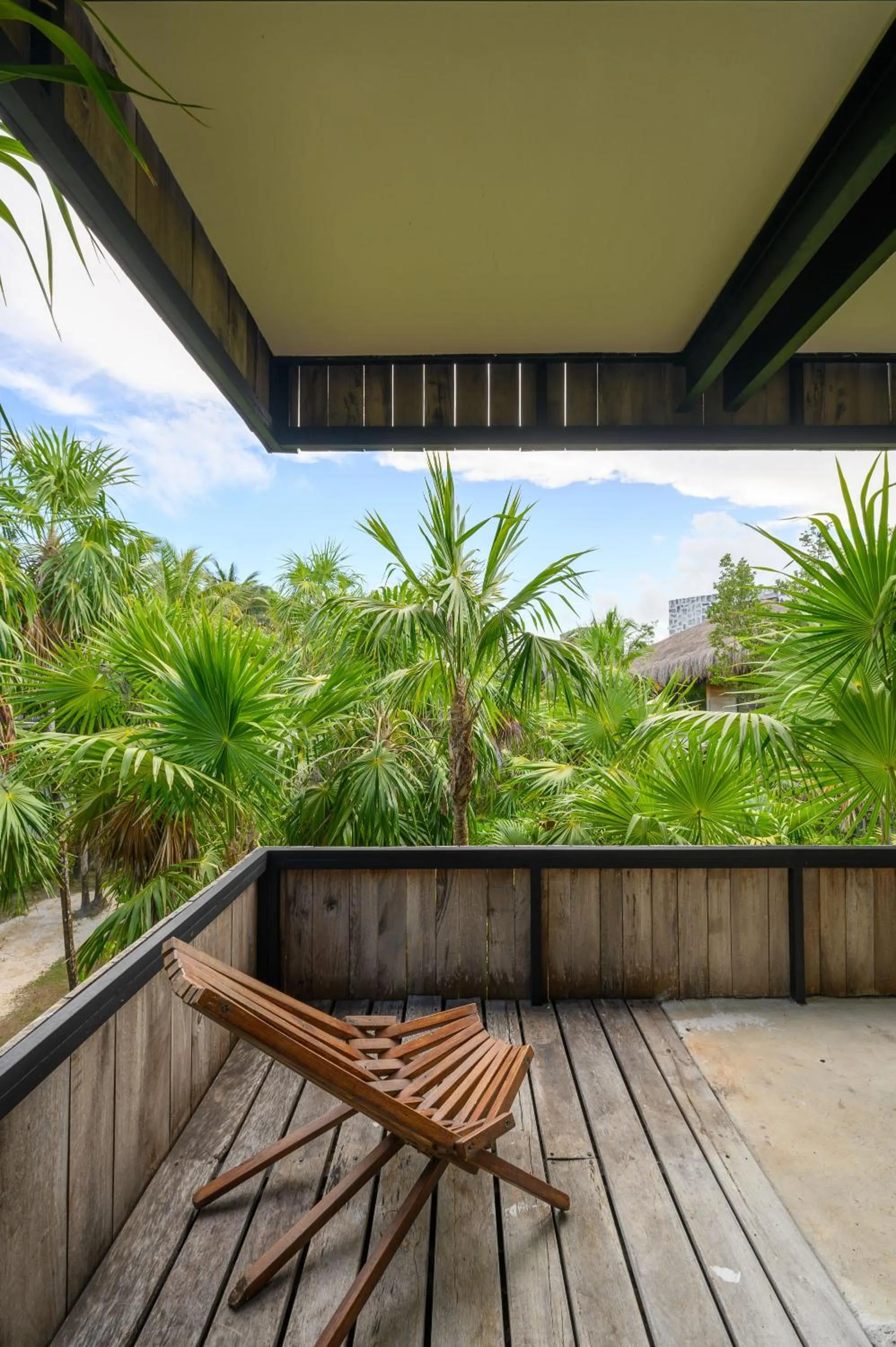 Natural landscape in Vida Silvestre Tulum