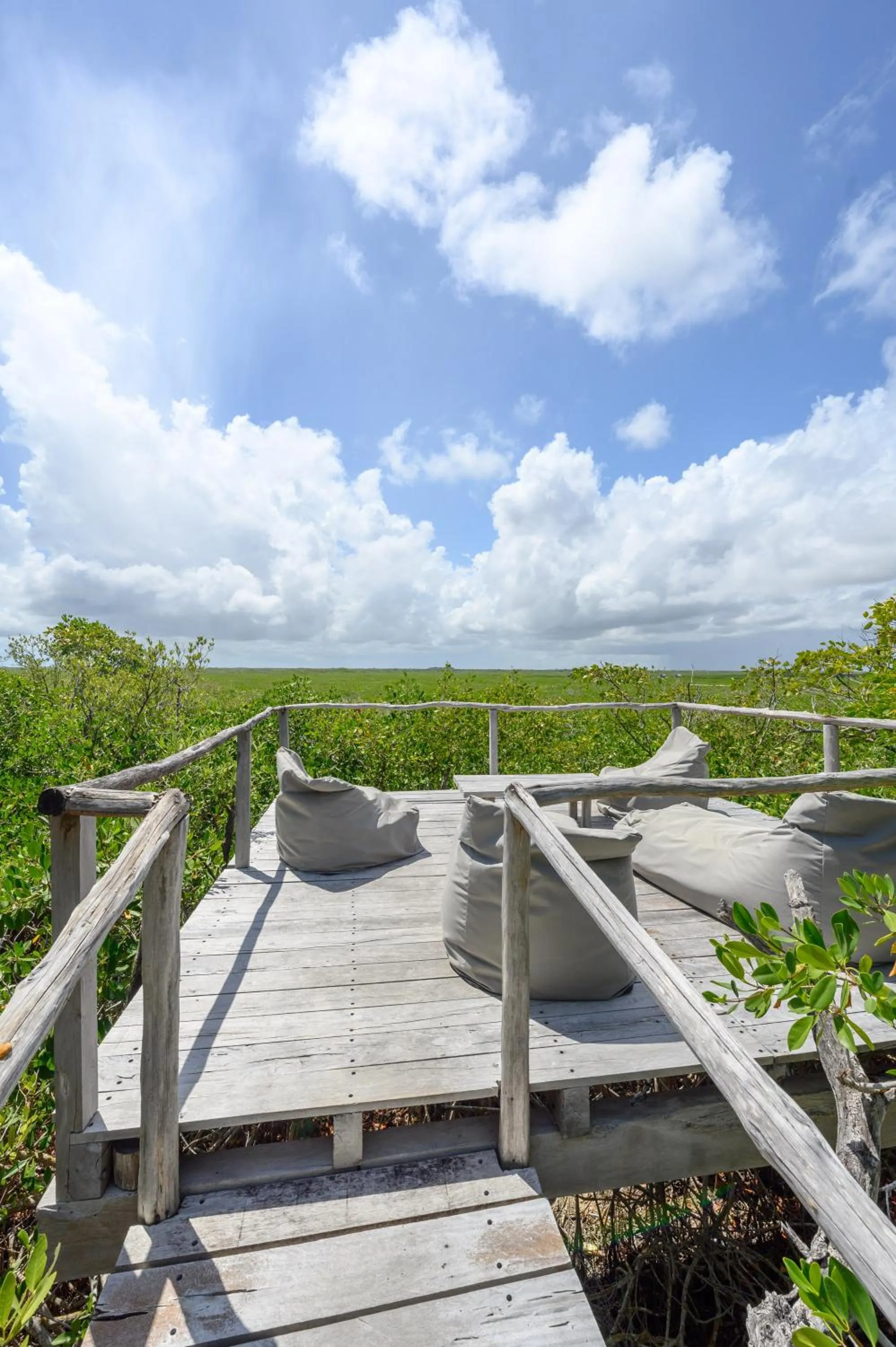 Natural landscape in Vida Silvestre Tulum