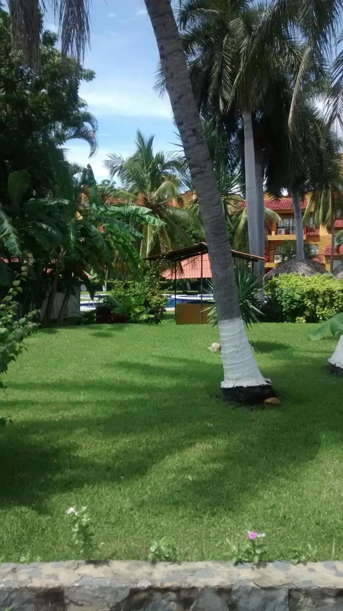 Garden in Hotel Puerta Del Mar Ixtapa