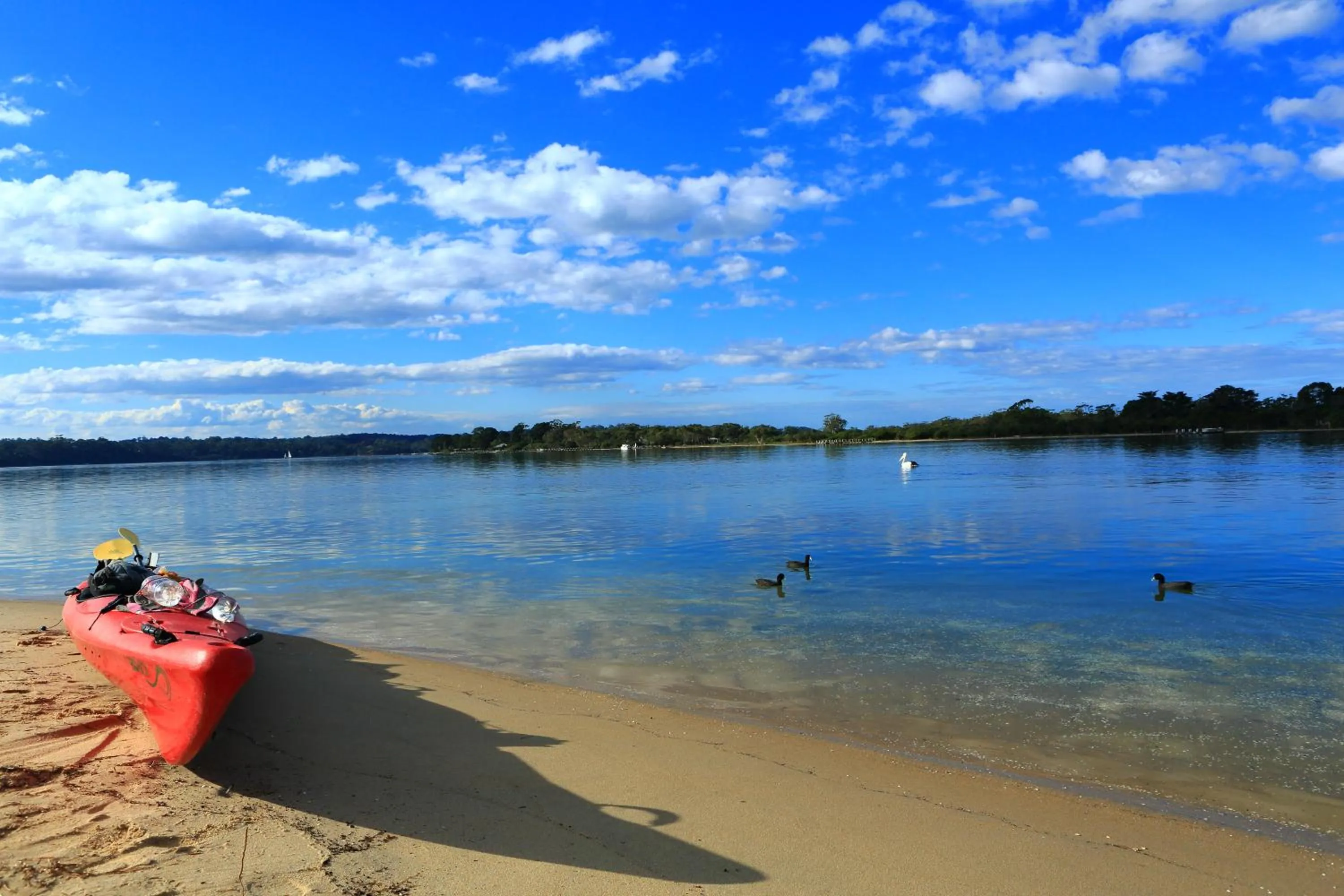 Canoeing in Ocean Views Motel Lakes Entrance