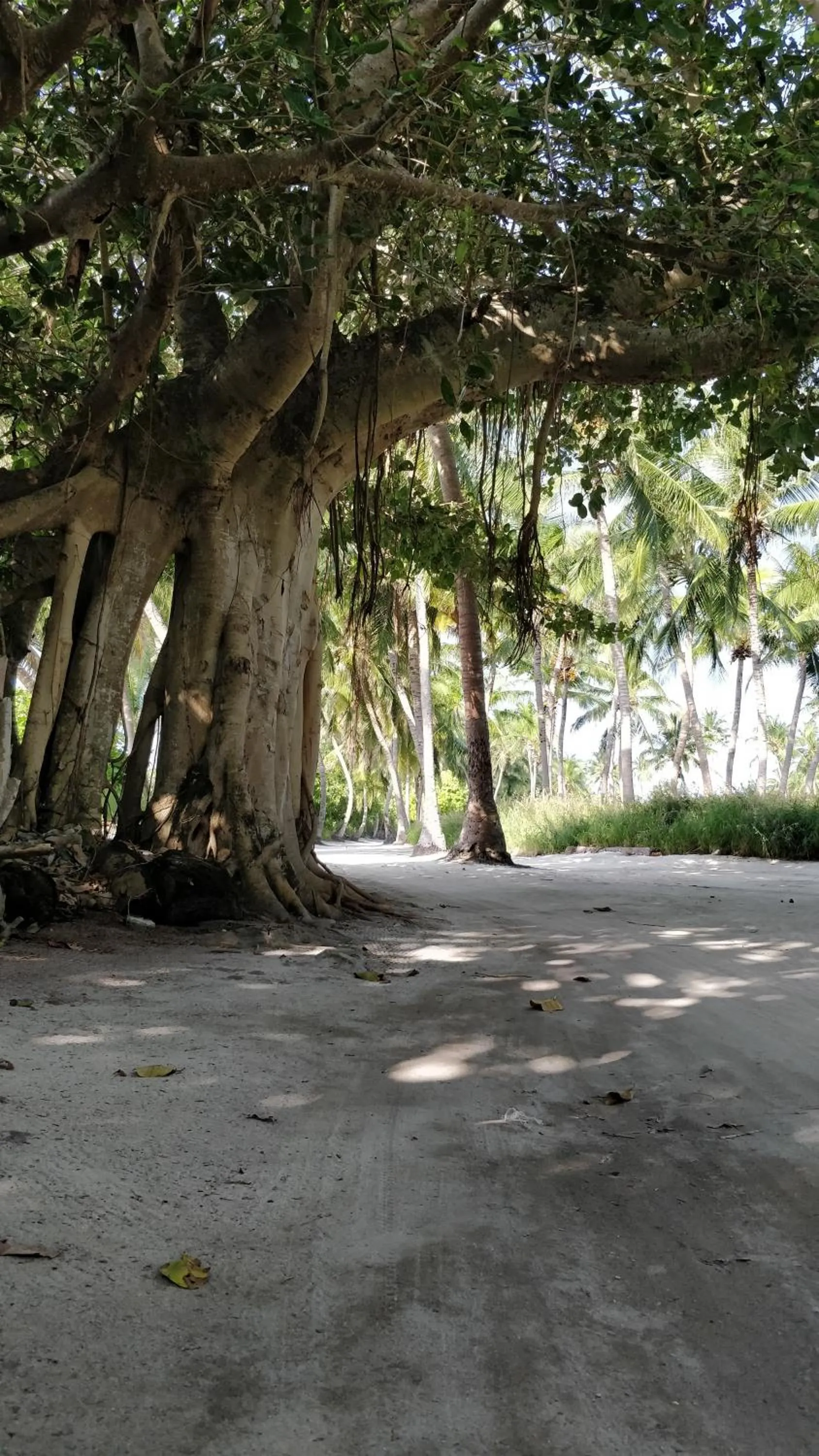 Nearby landmark in Athiriveli