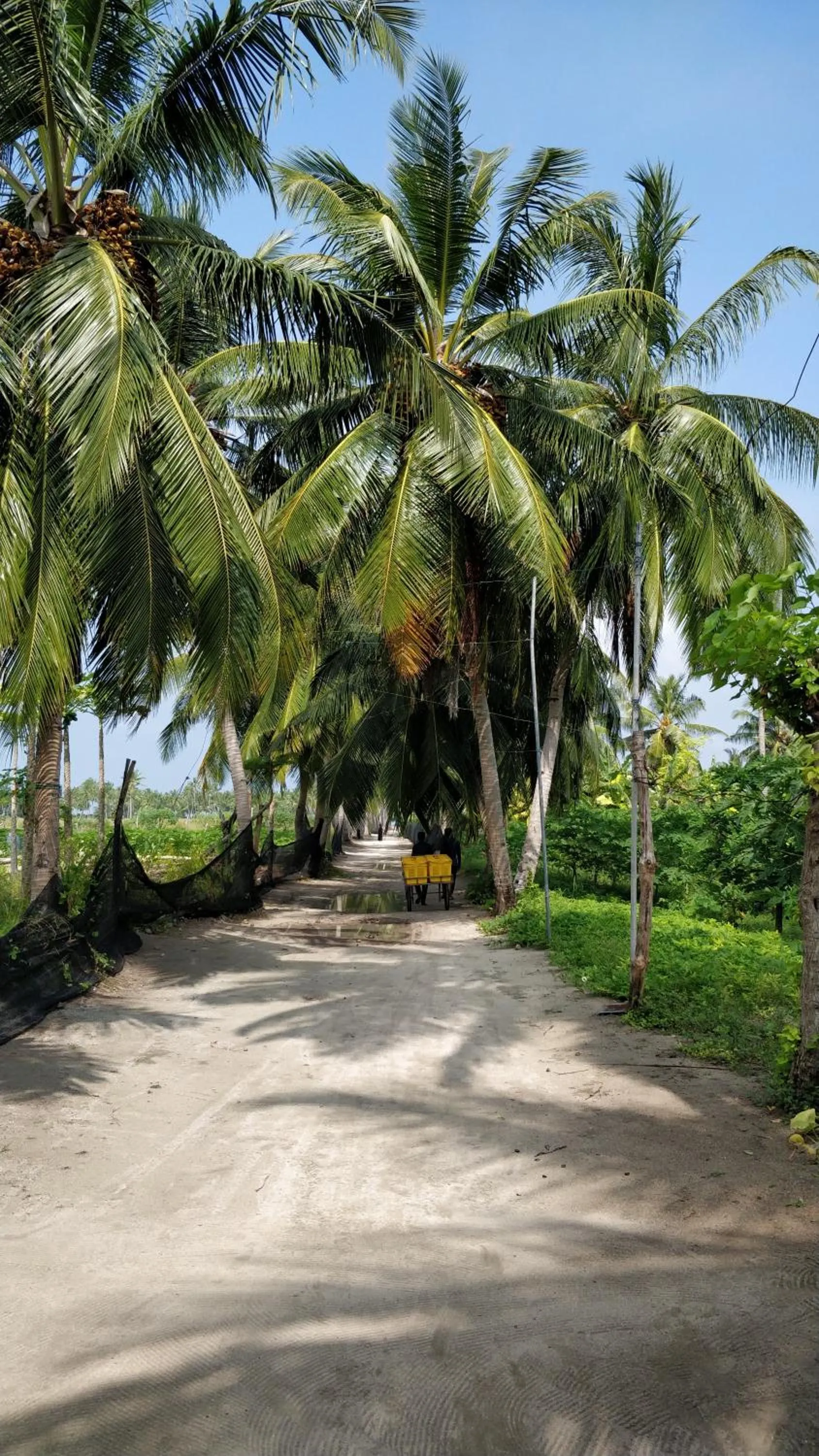 Nearby landmark in Athiriveli