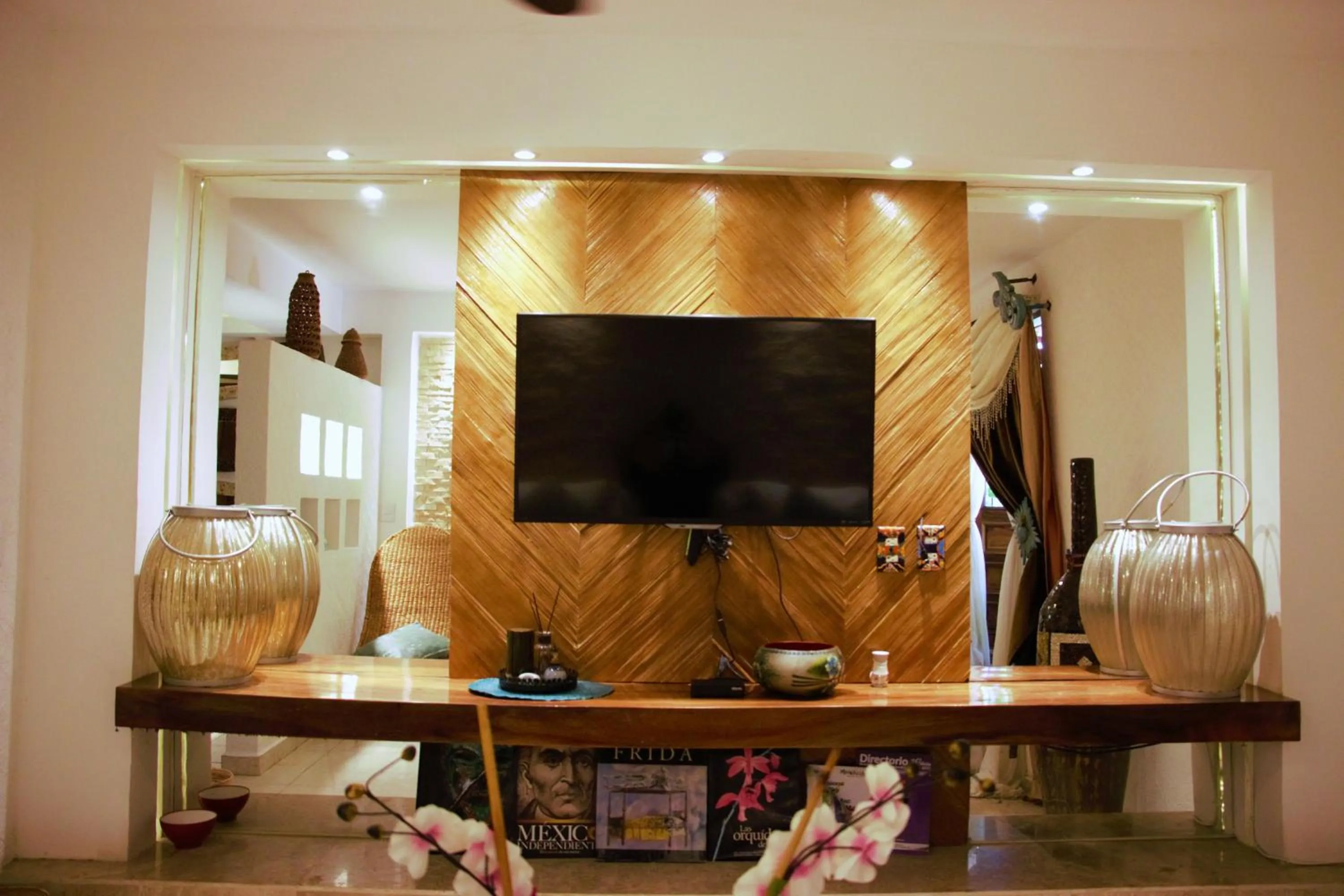 TV and multimedia in Casa Jaguar Hotel & Boutique