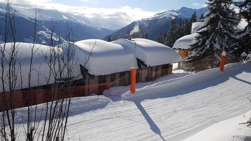 "Chalet le Dahlia - 4 Vallees"