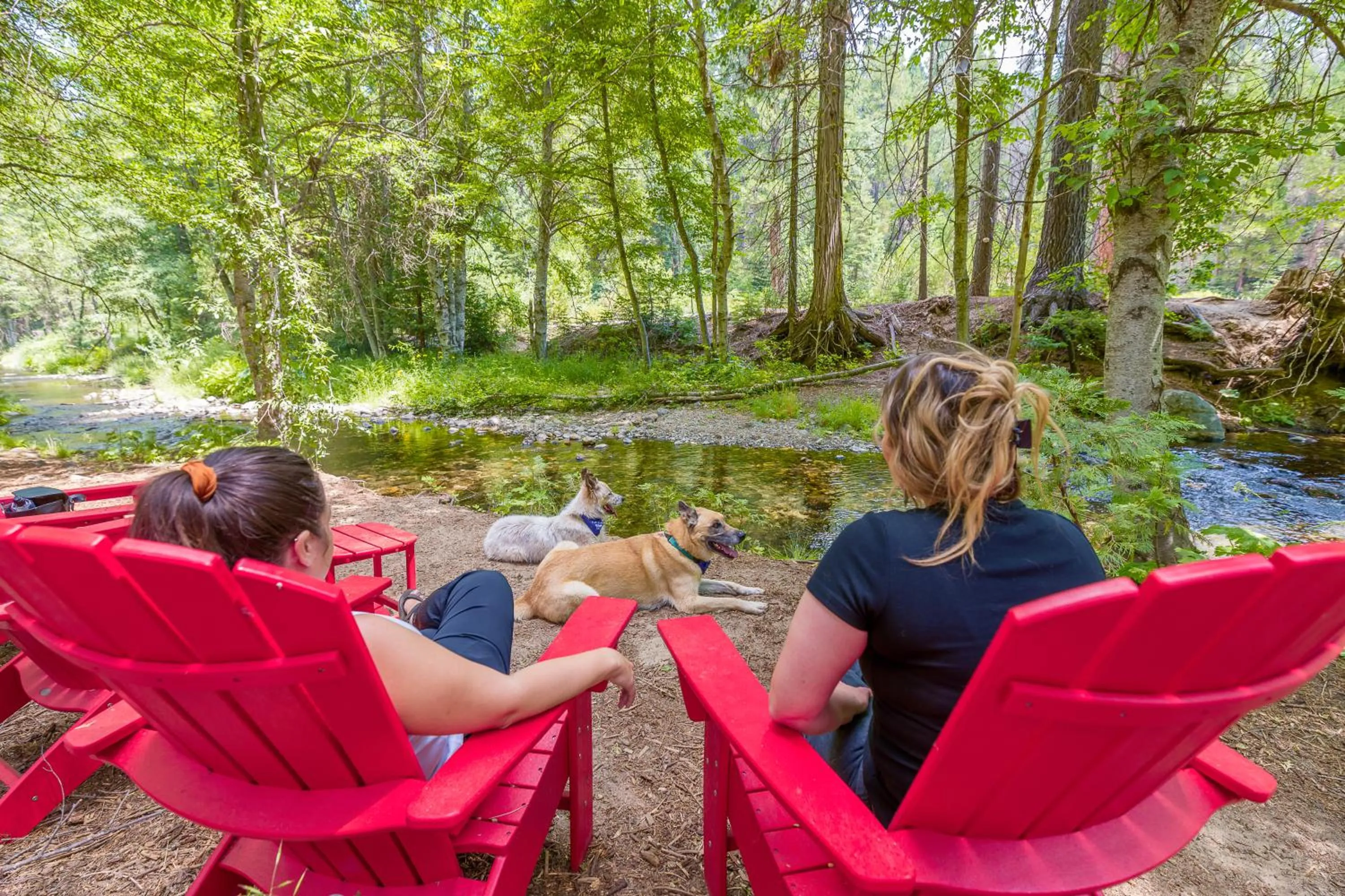 Pets in Tenaya at Yosemite