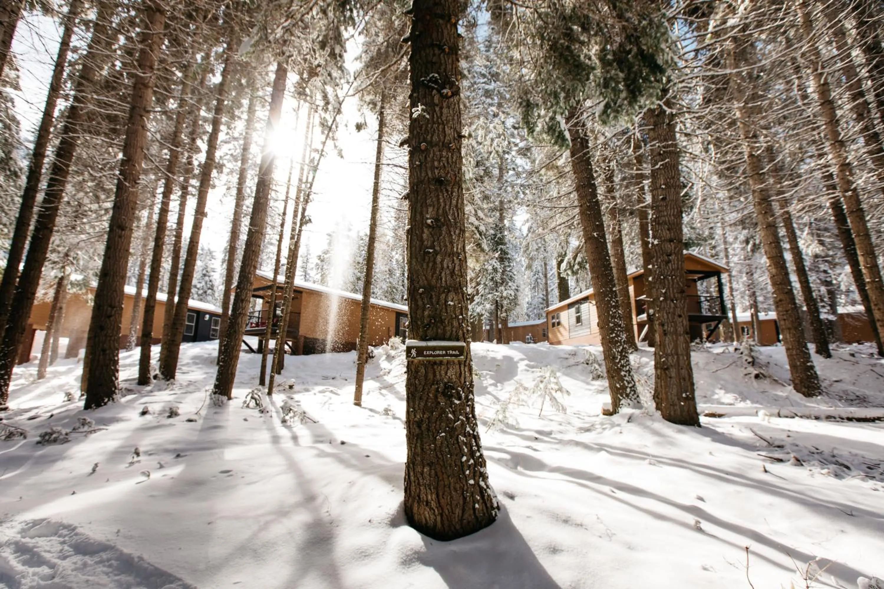 Property building in Tenaya at Yosemite