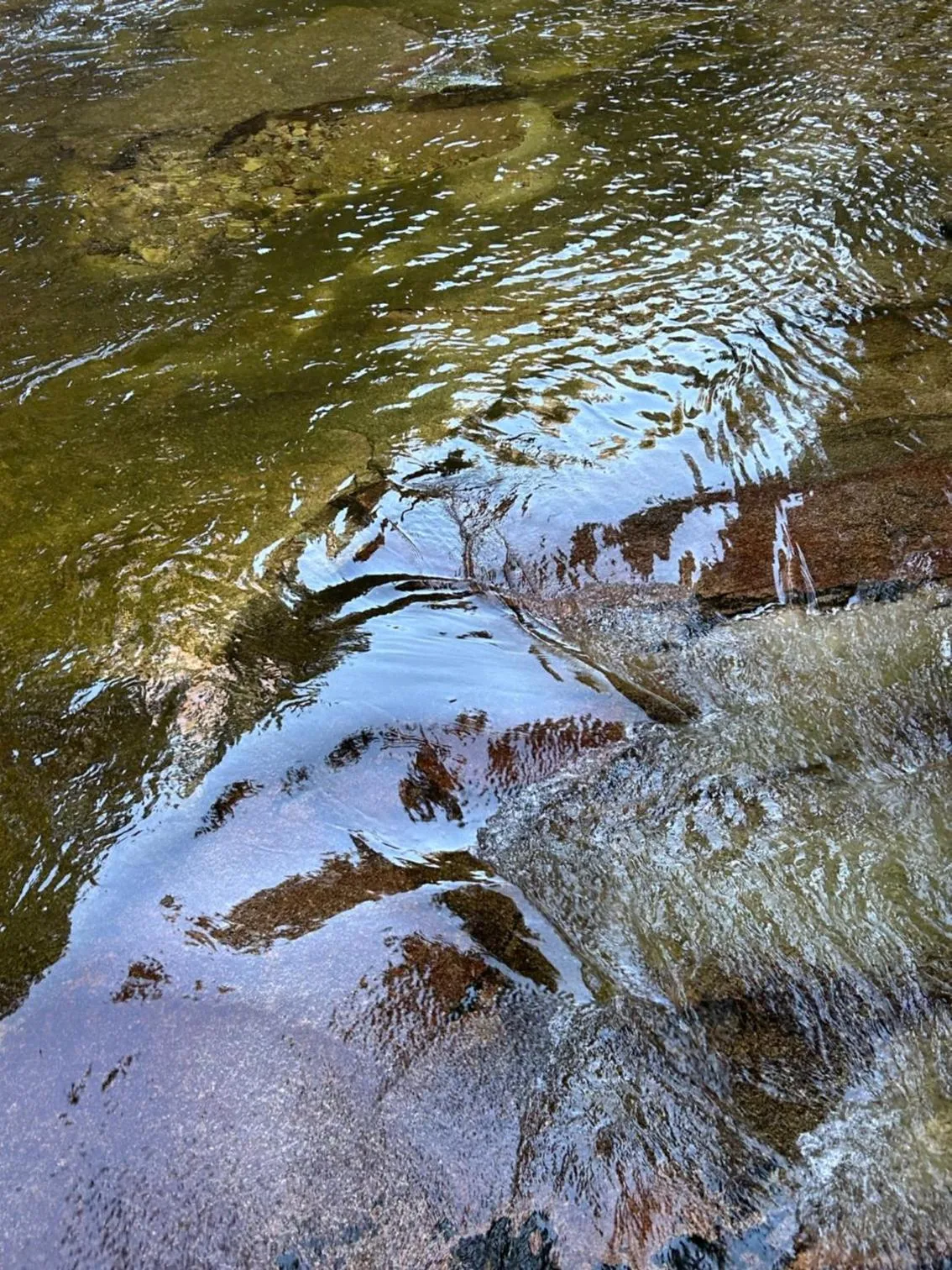 Apartmány Gryf Harrachov