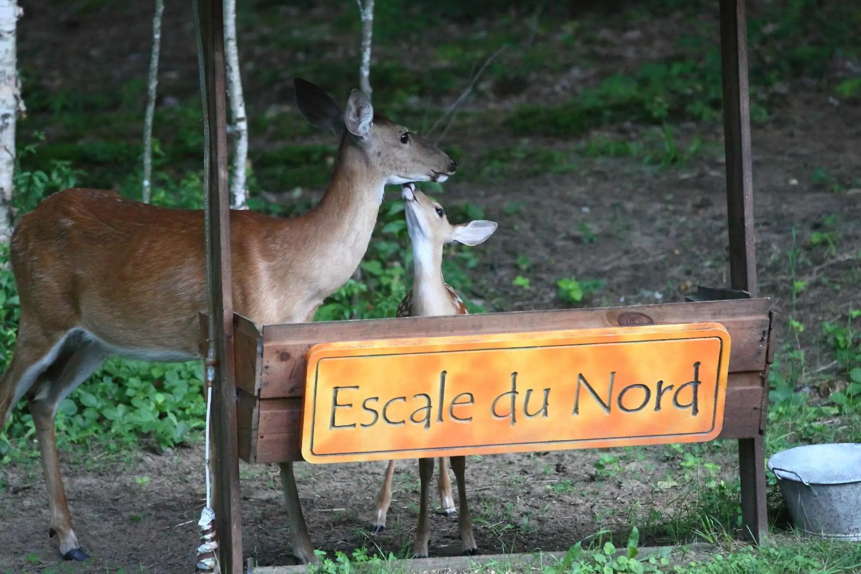 Property building in Escale du Nord Property building in Escale du Nord