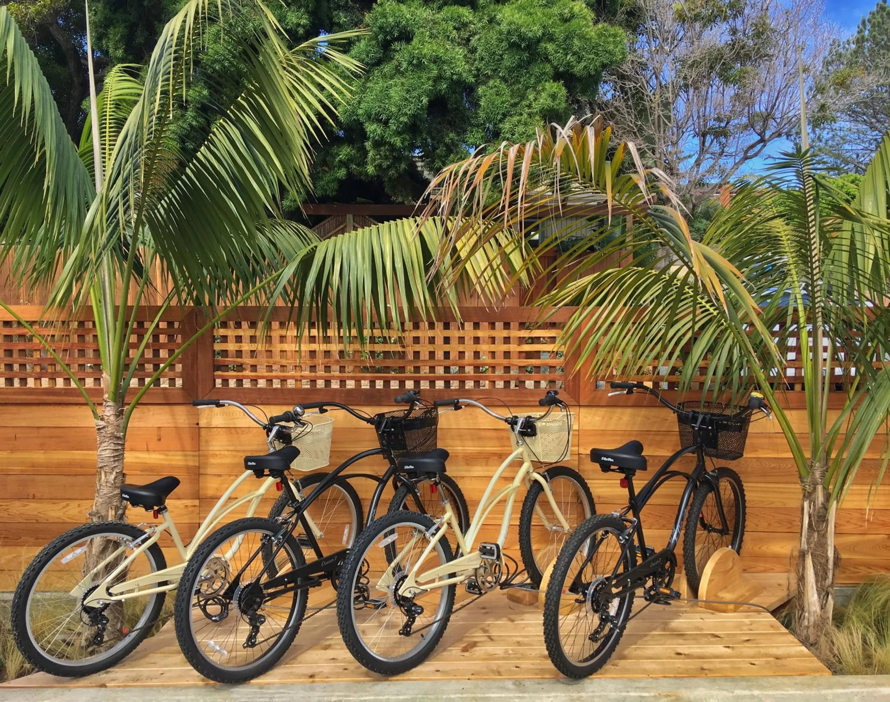 Cycling in Surfhouse