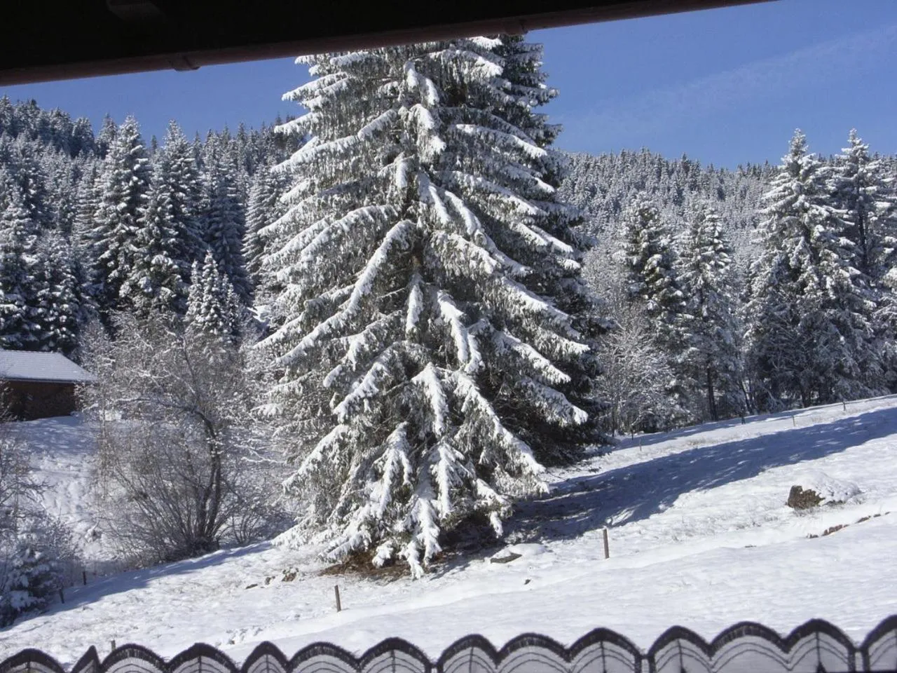 Garden view in Schwarzwald-Hotel Kraeutle