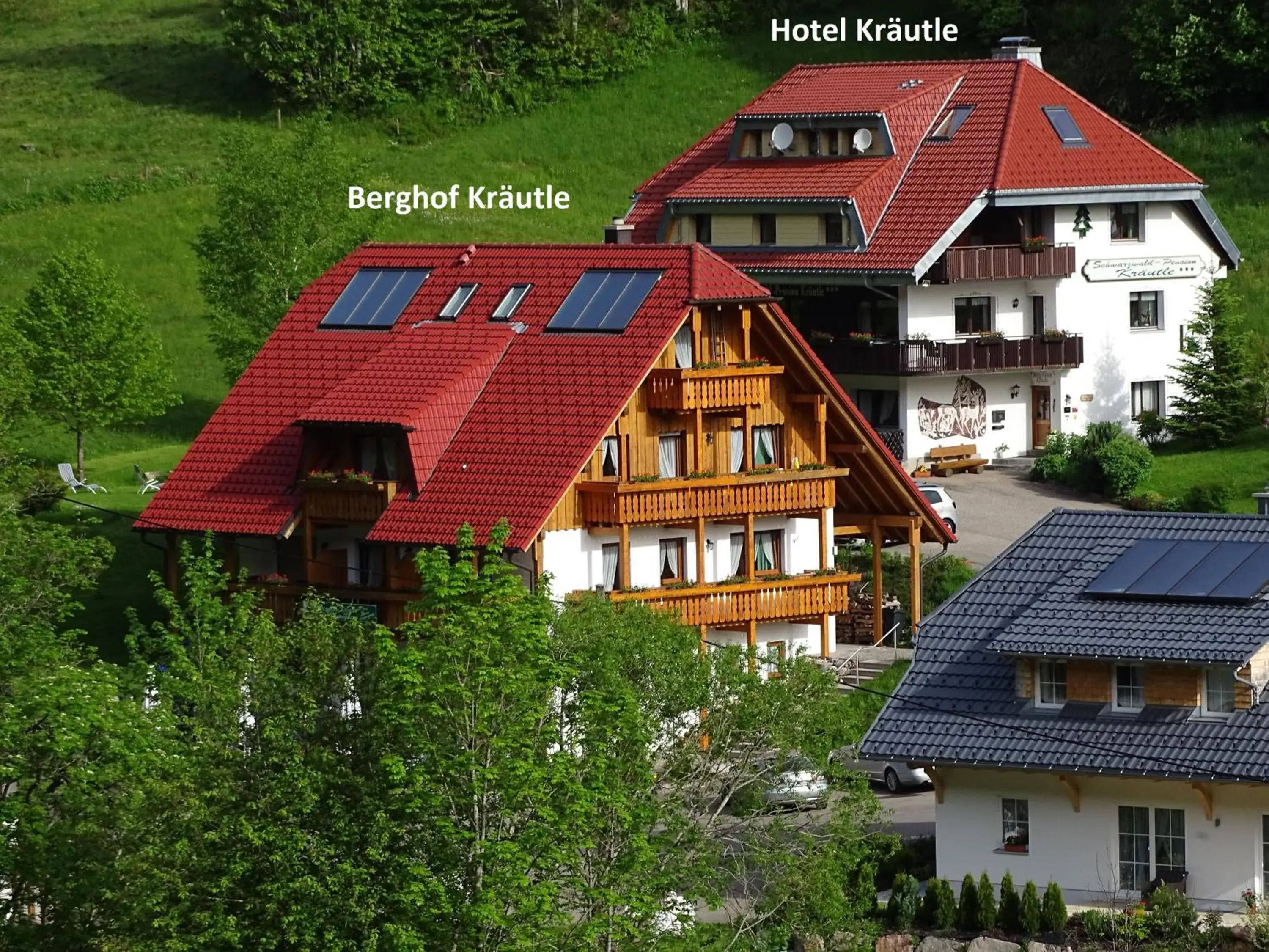 Schwarzwald-Hotel Kraeutle Schwarzwald-Hotel Kraeutle