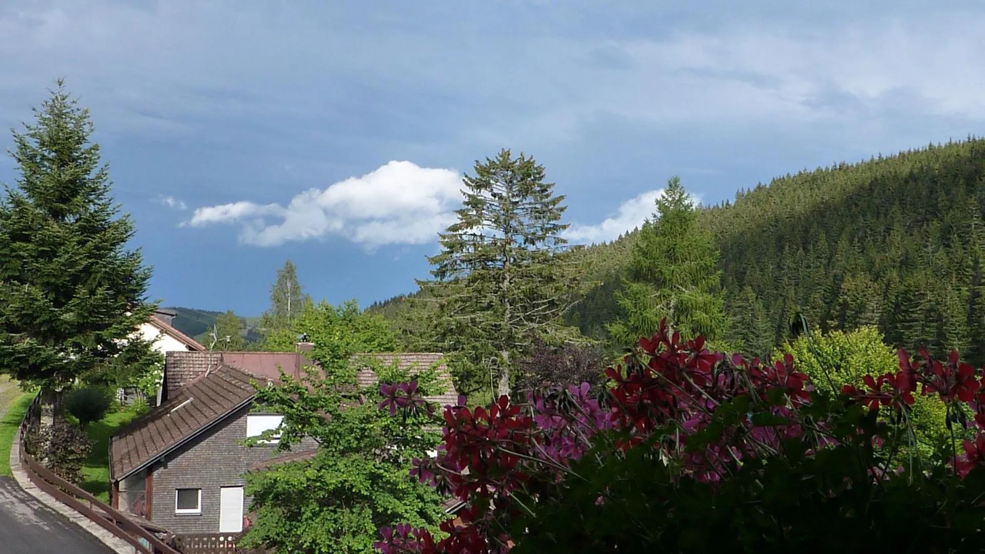View (from property/room) in Schwarzwald-Hotel Kraeutle