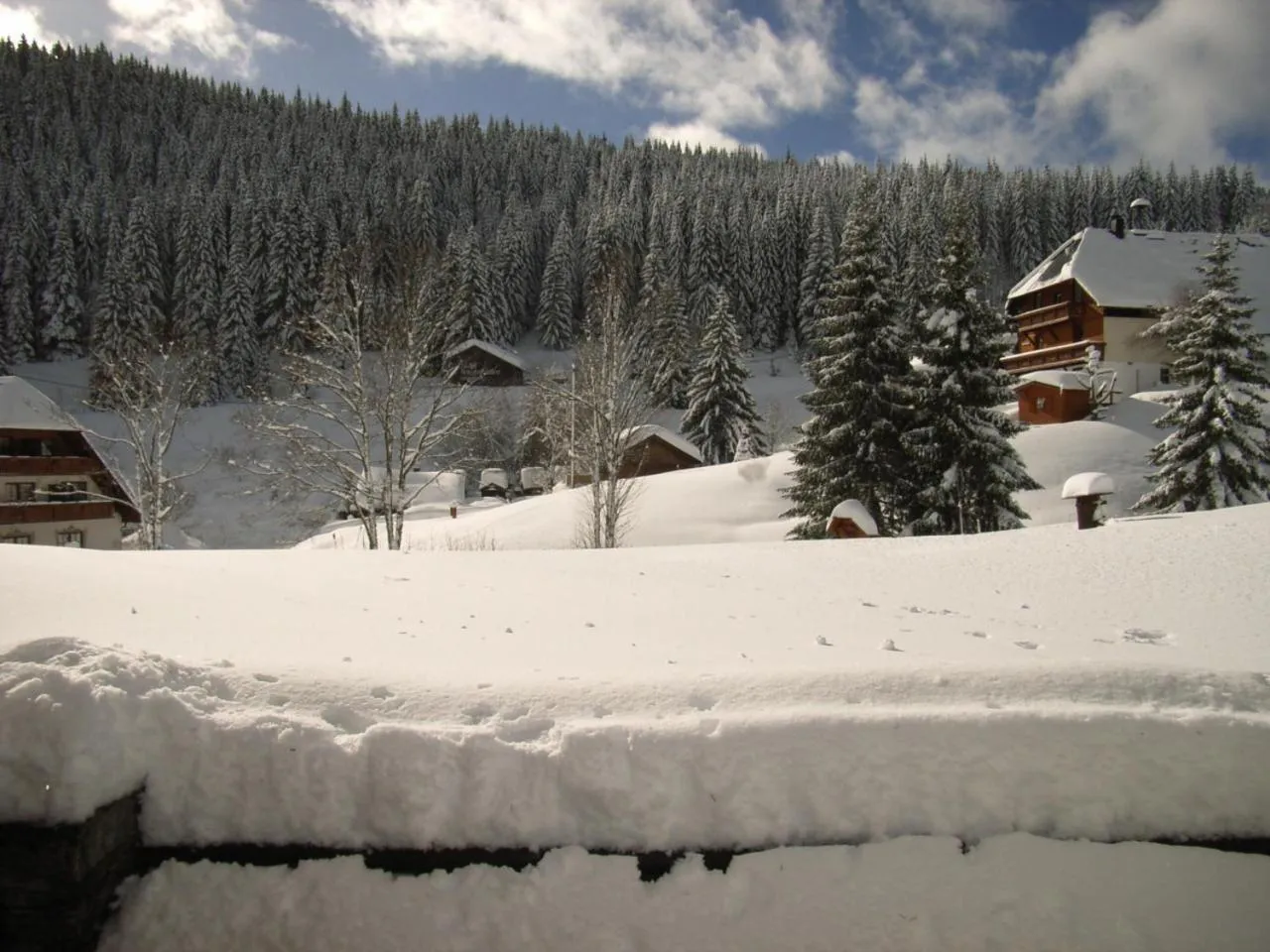 Winter in Schwarzwald-Hotel Kraeutle