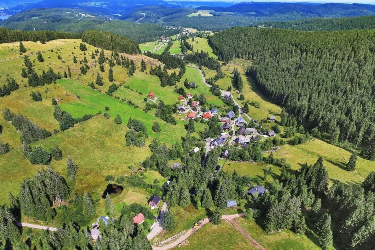 Bird's eye view in Schwarzwald-Hotel Kraeutle