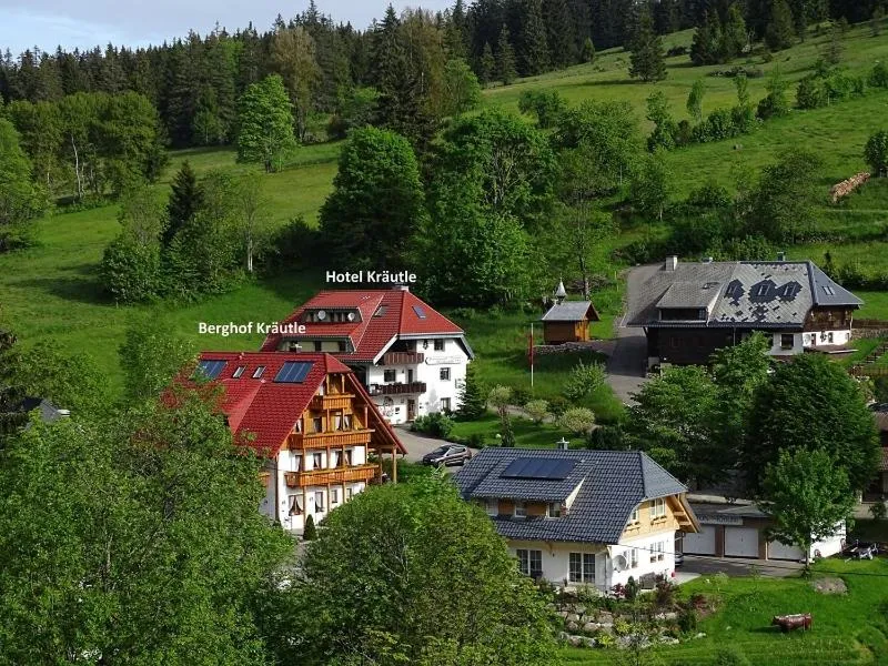 Bird's eye view in Schwarzwald-Hotel Kraeutle