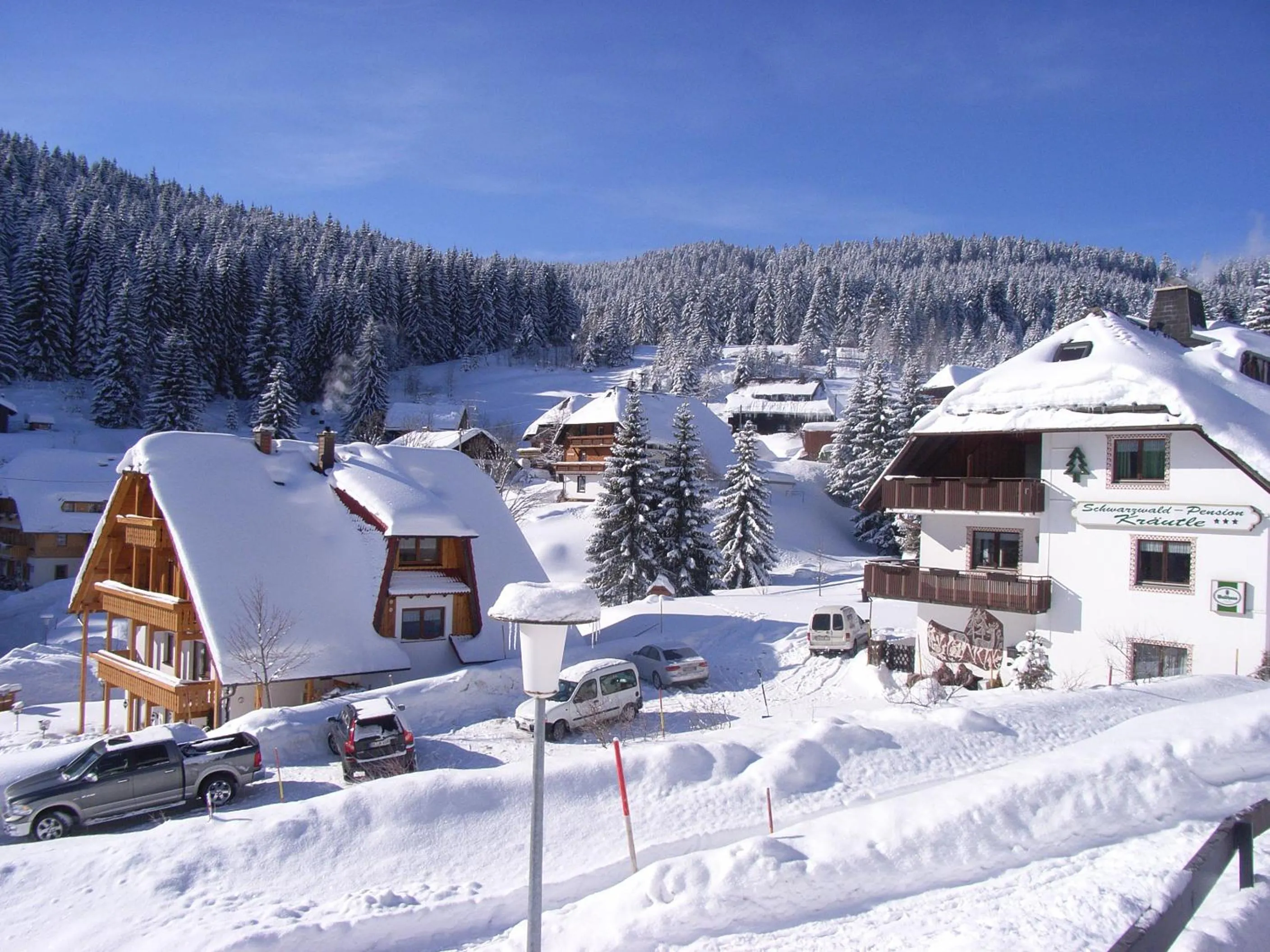 Bird's eye view in Schwarzwald-Hotel Kraeutle