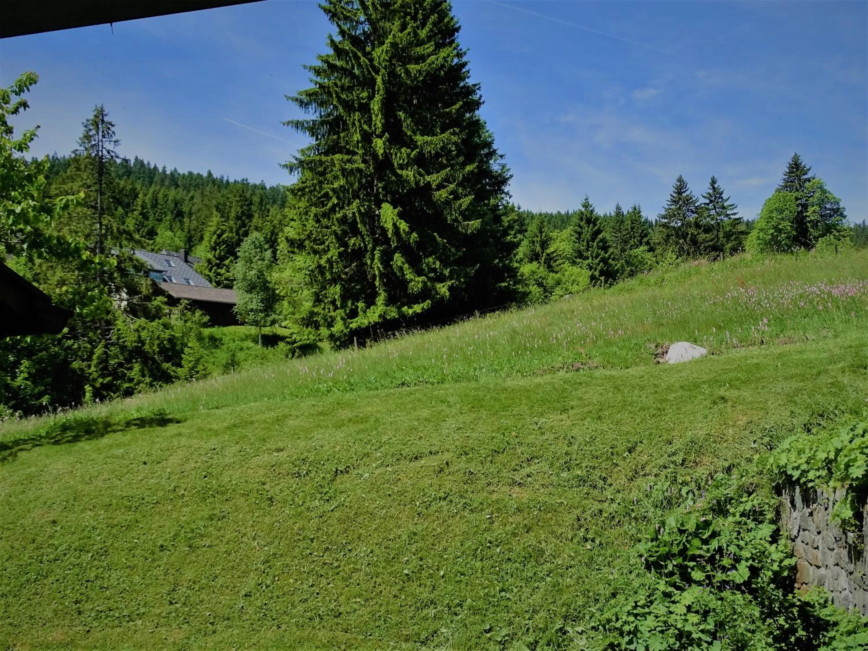 Natural landscape in Schwarzwald-Hotel Kraeutle