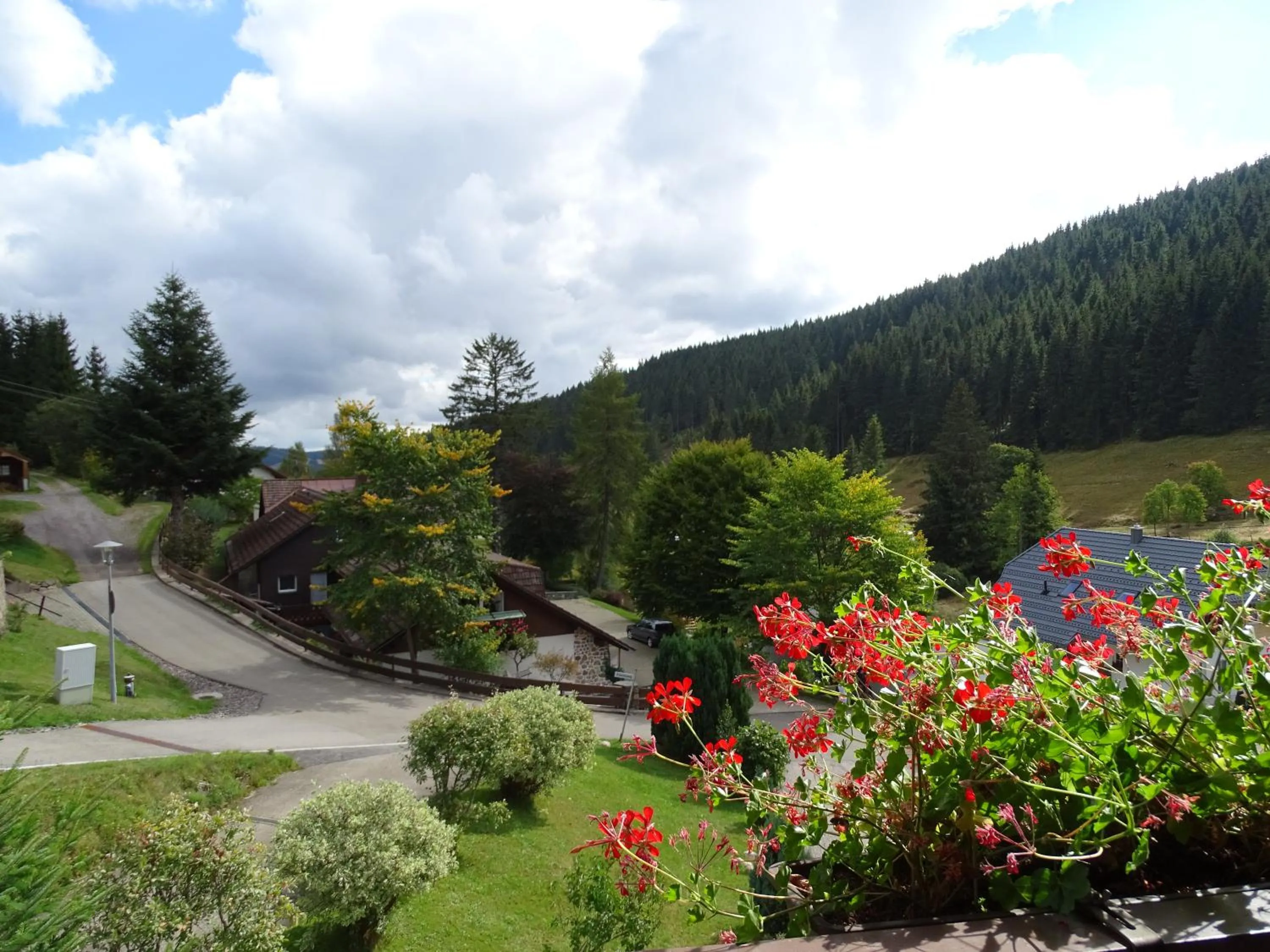 Garden in Schwarzwald-Hotel Kraeutle