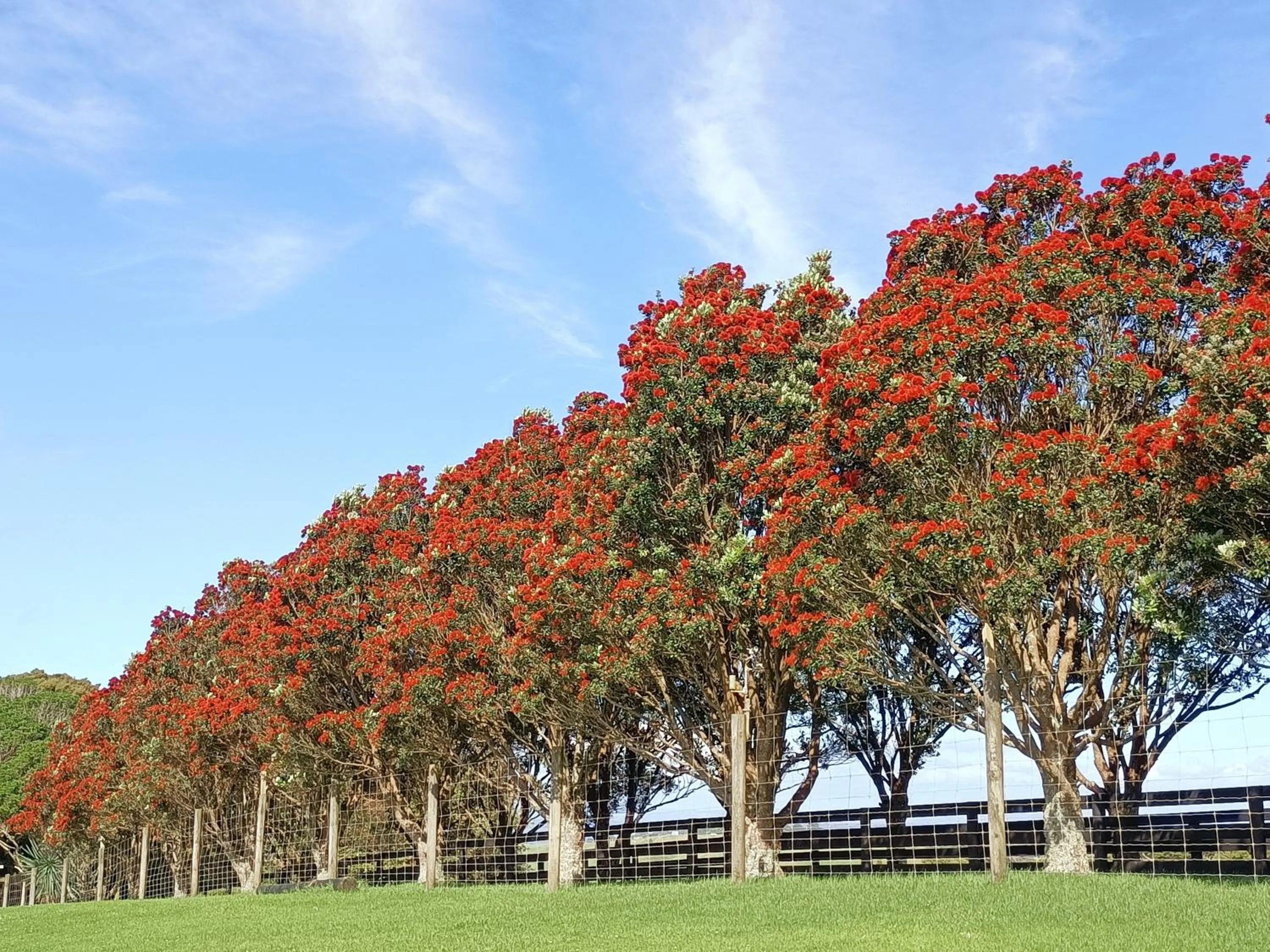 Connemara Country Lodge